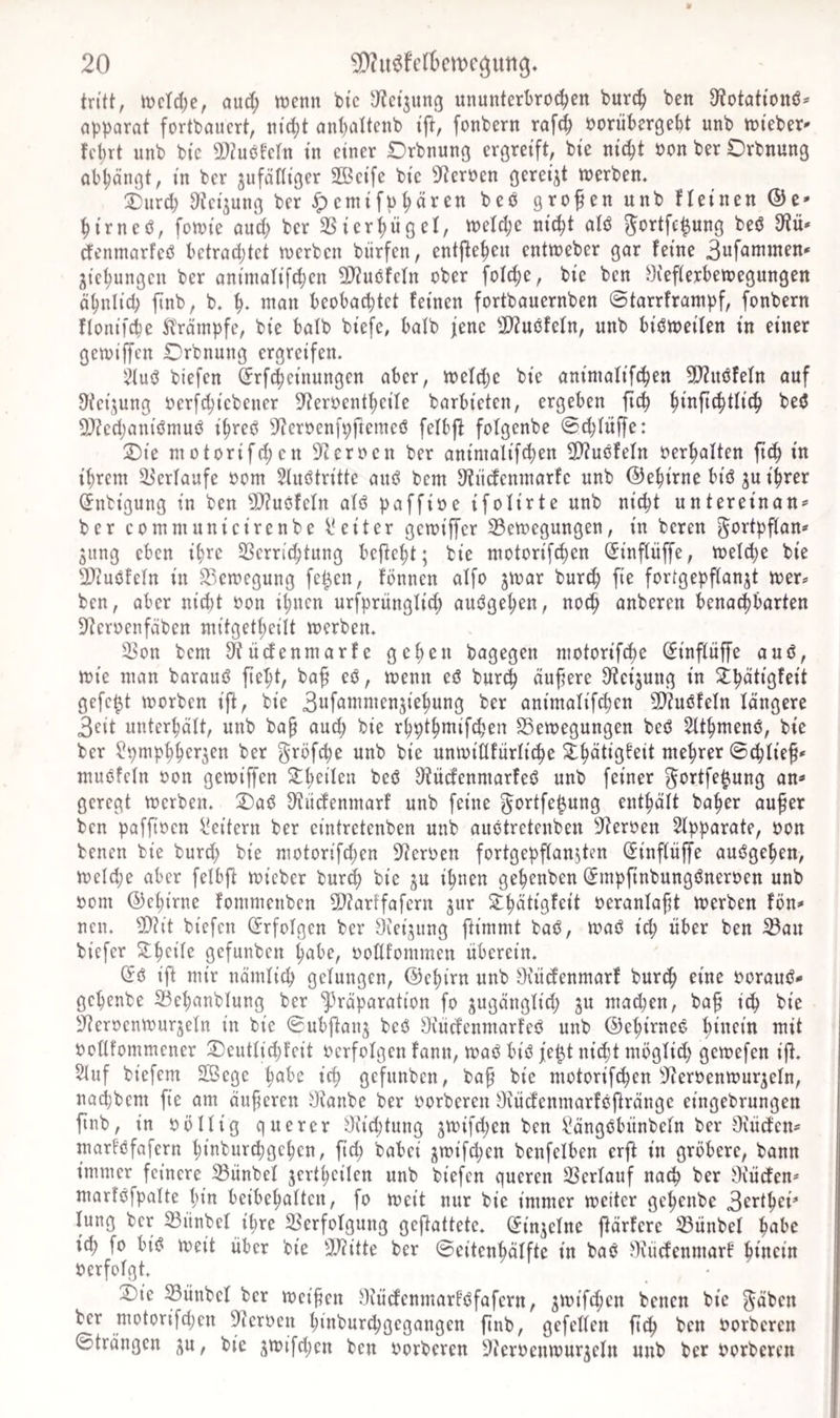 tritt, njcTdje, aud; wenn bic ^etjnng ununterbrochen burch ben 9?otationö^ npparat fortbauert, nid;t anhaltenb ijt, fonbern raf^ oorübergeht unb wteber' febrt unb bie a)?uöfern in einer Drbnung ergreift, bie ni^t oon ber Orbnung abl;ängt, in ber jufäniger 2öeife bic 9^croen gereift werben. 1) urd; ^iei^ung ber ^emifphären beö grofen unb fleinen ©e- hirneO, fowie aud&gt; ber 3SicrhügeI, weld;c nicht alö S^^rtfe^ung beö 9^ü' dicninarfeö bctradjtct werben biirfen, entjteheu entweber gar feine Eichungen ber animalifdjcn 9)iuöfcln ober foId;e, bie ben ^liefterbewegungcn ähnlich finb, b. h* wan beobachtet feinen fortbauernben ©tarrfrantpf, fonbern flonifche Minpfe, bie balb biefc, balb jene 3)2uöfefn, unb biöweifen in einer gewtjfen Drbnung ergreifen. 5iuö biefen (Jrfcheinungen aber, wetdjc bie animafifchen 5D?uöfefn auf 9fcijung ocrfchicbcner ^teroentheife barbieten, ergeben fich beö 5}?echaniömuö ihreö S^croenfpftemeö felbft folgenbe ©djlüffe: 2) ie nrotorifd;cn ü)cerocn ber antmalif^en 2)?uöfefn oerhaften in ihrem Verlaufe oom Sfuötrittc auö bem S^iiefenmarfe unb ©ehirne biö ju ihrer (Jnbigung in ben 9)?uöfcfn afö pafftoe ifolirte unb nicht untereinan^ ber comniunicircnbe l'eiter gewiffer 33ewegungen, in bereu ^^^rtpffan*' giing eben ihre 33errid;tung bejtcht; bie motorifchen (Jinffüffe, welche bie 2)?uöfcfn in Bewegung fe^en, fönnen affo jwar burch fie forCgepffanjt wer^ ben, aber nicht oon ihnen urfpriingfid; auögehen, noch anberen benachbarten Dteroenfäben mitgetheilt werben. ^on bem ^iirfenmarfe gehen bagegen motorif^e ($inpffe auö, wie man barauö fieht, baf eö, wenn eö burch äußere D'tcijung in 2:hätigfeit gefegt worben ift, bie 3iifc^wmen3iehung ber animafifchen 5!}?uöfefn fdngere 3eit unterhäft, unb bap and; bie rhpthmifchen ^Bewegungen beö Sfthmenö, bie ber ^pmphher^en ber ^röfche unb bie unwifffürfiche ®thfwf' muöfcfn oon gewijfen S^heifen beö 3tücfenmarfeö unb feiner ^ortfe^ung an^ geregt Werben. :Daö S^nefenmarf unb feine gortfe^ung enthaft baher auper ben paffioen l^eitern ber eintretenben unb auötrctenben S^eroen Sfpparate, oon benen bie burd; bie motorifd;en 9?eroen fortgepffanjten (J'inffüfl’e auögehen. Welche aber fefbft wicber bur^ bie ju ihnen gehenben (Jmpfinbungöneroen unb oom ©ehirne fommenben 2)?arffafcrn jur S^hätigfeit oeranfapt werben fön^ neu. biefen (frfofgen ber Üie^iing ftimmt baö, waö id; über ben iBau biefer Stheife gefunben höbe, oofffommen überein. (fö ift mir nämfich gelungen, ©chirn unb Otücfenmarf burch eine oorauö^ gehenbe 23ehanbfung ber ‘^räparation fo gugängfid; ju madjen, bap ich bie S^eroenwurjefn in bie ©ubjtanj beö iKücfenmarfeö unb ©ehirncö wit oofffommener 2!)eutfid)feit oerfofgen fann, waö biö fe^t nicht mögfid; gewefen ift. 5luf biefem SBcge ich gefunben, bap bie motorifchen ^fteroenwurjefn, nad^bem fie am äuperen staube ber oorberen Ocücfenmarföftränge eingebrungen finb, in oöffig querer Ocidjtung jwifd^en ben i^ängöbünbefn ber Otücfens marföfafern hinbiirchgehcn, fid; babei jwifd;en benfefben erft in gröbere, bann immer feinere ^iinbef jertheilen unb biefen queren Verlauf nach ber Oiürfen* marföfpafte hin beibehaften, fo weit nur bic immer weiter gehenbe 3frthei' lang ber 23iinbcf ihre S3erfofgung gcjtattetc. (Jinjefne jtärfere S3ünbef ich fo biö Weit über bic 3J?itte ber ©citenhüffte in baö ^Itücfenmarf Oerfofgt. 2)ie ^ünbef ber weipen JKücfenmarföfafcrn, ^wifchen benen bic ^oben ber motorifd)en ^eroen hinburchgegangen finb, gefeffen fidh ben oorberen ©trängen ju, bie jwifd;en ben oorberen ^icroenwurjefu unb ber oorberen