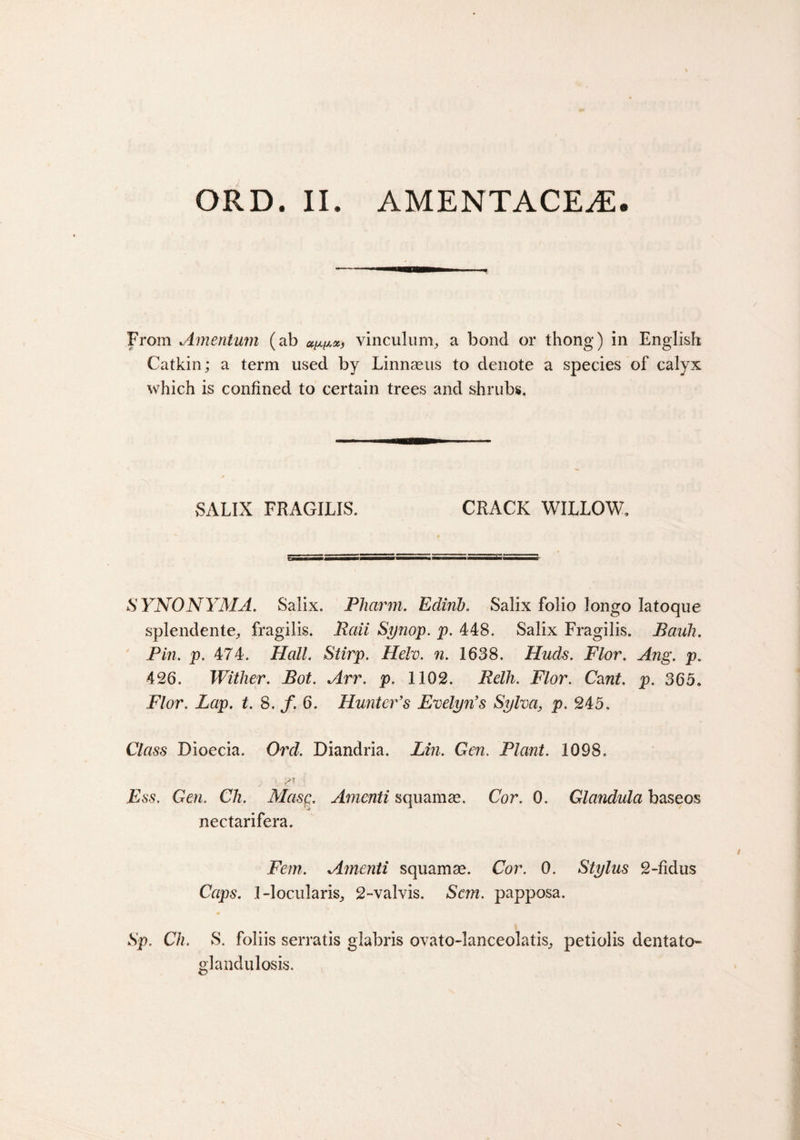 From Amentum (ab a^x, vinculum, a bond or thong) in English Catkin; a term used by Linnasus to denote a species of calyx which is confined to certain trees and shrubs. SALIX FRAGILIS. CRACK WILLOW, SYNONYMA. Salix. Phcirm. Edirib. Salix folio longo Iatoque splendente, fragilis. Raii Synop. p. 448. Salix Fragilis. Bauh. Pin. p. 474. Hall. Stirp. Helv. n. 1638. Huds. Flor. Ang. p. 426. Wither. Pot. Arr. p. 1102. Relh. Flor. Cant. p. 365, Flor. Lap. t. 8. f. 6. Hunter's Evelyn's Sylva, p. 245. C7&lt;m Dioecia. Ore/. Diandria. Lm. Gcw. Plant. 1098. jEss. Gen. C/l Masp. Amenti squamm. Cor. 0. Glandula baseos nectarifera. Fern. Amenti squamse. Cor. 0. Stylus 2-fidus Caps. 1-locularis, 2-valvis. Scm. papposa. Sp. Ch. S. foliis serratis glabris ovato-lanceolatis, petiolis dentato- glandulosis.