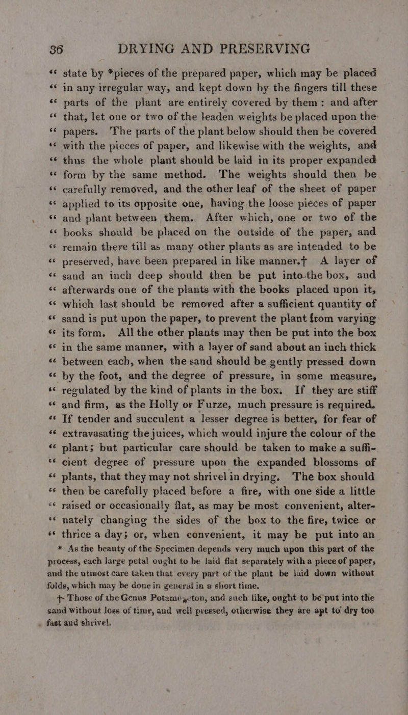 €¢ €¢ state by *pieces of the prepared paper, which may be placed in any irregular way, and kept down by the fingers till these parts of the plant are entirely covered by them: and after that, let one or two of the leaden weights be placed upon the: papers. The parts of the plant below should then be covered with the pieces of paper, and likewise with the weights, and thus the whole plant should be laid in its proper expanded form by the same method. The weights should then be carefully removed, and the other leaf of the sheet of paper applied to its opposite one, having the loose pieces of paper and plant between them. After which, one or two of the books should be placed on the outside of the paper, and remain there till as many other plants as are intended to be preserved, have been prepared in like manner.t A layer of sand an inch deep should then be put intothe box, and afterwards one of the plants with the books placed upon it, which last should be removed after a sufficient quantity of sand is put upon the paper, to prevent the plant from varying its form. Allthe other plants may then be put into the box in the same manner, with a layer of sand about an inch thick between each, when the sand should be gently pressed down by the foot, and the degree of pressure, in some measure, regulated by the kind of plants in the box. If they are stiff and firm, as the Holly or Furze, much pressure is required, If tender and succulent a lesser degree is better, for fear of extravasating the juices, which would injure the colour of the plant; but particular care should be taken to make a suffi- cient degree of pressure upon the expanded blossoms of plants, that they may not shrivelin drying. The box should then be carefully placed before a fire, with one side a little raised or occasionally flat, as may be most convenient, alter- nately changing the sides of the box to the fire, twice or thrice a day; or, when convenient, it may be put into an * As the beauty of the Specimen depends very much upon this part of the