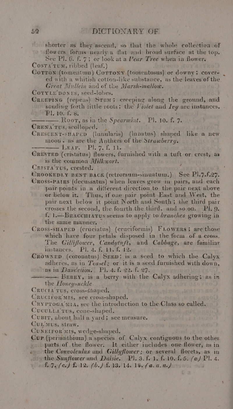 shorter as they ascend, so that the whole collection of flowers forms nearly a flat and: broad surface at the top. See Pl. G6. f..73 or look ata Pear Tree when in flower. Costa'tum, ribbed (leaf.) CoTron (tomentum) Corrony (tontentosus) or downy; cover- | ed with a whitish cotton-like substance, as the leaves of the Great Biullein and of the Marsh-mallow. Cotyiy pones, seed-lobes, CreEePInG (repens) Stem; creeping along the ground, and sendive forth tittle roots; the Violet antl shi are instances. RI. 10. i 8. asin the Spearmint. Pl..10. f. 7. Crena’Tvs, Booilepetk 3} CRESCEN T-SHAPED (lunularis) (lapatus) shaped lke a new moon, as are the Anthers of the Strawberry. LEA VP oe! tL des CRESTED (cristatus) flowers, furnished with a tuft or crest, as is the common Milkecort. — Crista Tus, crested. CROOKEDLY BENT BACK (retsorsutin-sinruatmap! ). See PI.7.f.27. Cross-Patrs (decussatus) when leaves grow im pairs, and each pair points in a different direction to the pair next above or below it. Thus, if one pair point East and West, the pair next below it point North and South; the third pair crosses the second, the fourth the third, and so on. PI. 9. fo .—Bracentatus seems to apply to ranches growing in the same manner, . A CROSS-SHAPED (cruciatus). (cruciformis) FLoweErs; are those which have four petals disposed in the form of a cross. The Gilliflower, Candytuft, and Cabbage, are familiar instances. Pl. 4, f. 11. f. 12. CROWNED (coronatus) Sepp; is a seed to which the Calyx adheres, as in Jeusel; or it is a seed furnished with down, as in Dandelion.. Pl. 4. f. 22. f. 27. the Honeysuckle. . CRUCIA TUS, Cross-Shaped, CRUCIFOR MIS, see cross-shaped. Cryproca mia, see the introduction to the Class so calledas CUCULLA’TUS, cone-shaped. Curr, about hak a yard; see measure. CuL'Mus, straw. CUNELFOR MIS, W edve-s haped, Cup (periantbhium) a species of Calyx contiguous to the other parts of the flower. It either includes. one flower, as in e the Convolvulus and Gillyflower; or several florets, as in | the Sunflower and Duaisie. Pl. 3.f0 1, £10085. (we Pl. 4. FirZor(ce) £124 66.) £.. 38.514. 180 fa. a. a.) or ?
