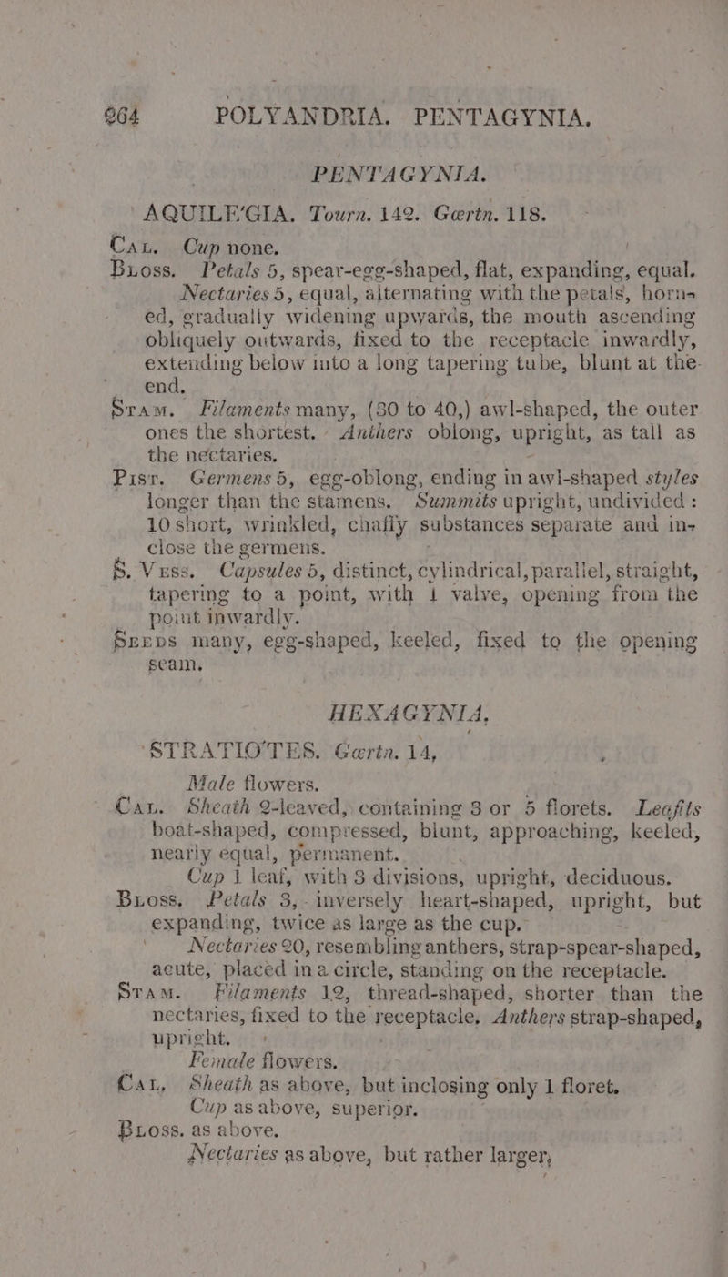 | | PENTAGYNIA. AQUILEGIA. Tourn. 142. Gertn. 118. Cau. Cup none. | Buioss. Petals 5, spear-egg-shaped, flat, expanding, equal. Nectaries 5, equal, alternating with the petals, horns ed, gradually widening upwards, the mouth ascending obliquely outwards, fixed to the receptacle inwardly, extending below ito a long tapering tube, blunt at the- ‘een. Sram. Filaments many, (30 to 40,) awl-shaped, the outer ones the shortest. Aniners oblong, upright, as tall as the nectaries. ; Pisr. Germens 5, ege-oblong, ending in awl-shaped styles longer than the stamens. Summits upright, undivided : 10s! hort, wrinkled, chafiy substances separate and in- close the germens. 5. Vss. Capsules 5, distinct, mendre al, parallel, straight, tapering to a point, with 1 valve, opening from the point inwardly. Sreps many, egg-shaped, keeled, fixed to the opening seam, HEXAGYNIA, STRATIO'TES. Gerta. 14 Male flowers. Cau. Sheath Q-leaved, containing 8 or 5 florets. Leafits boat-shaped, compressed, biunt, approaching, keeled, nearly equal, permanent. Cup 1 leat, with 3 divisions, upright, deciduous. Bross, Petals 3,- inversely heart-shaped, upright, but expanding, twice as large as the cup. Nectaries 20, resembling anthers, strap-spear-shaped, acute, placed ina circle, standing on the receptacle. eTamM. Filaments 12, thread-shaped, shorter than the nectaries, fixed to the tovep tiny Anthers pines Dads upright, ; Female flowers. Cau, Sheath as above, but inclosing only 1 floret. Cup as above, superior. Bross. as above. Nectaries as above, but rather larger, \