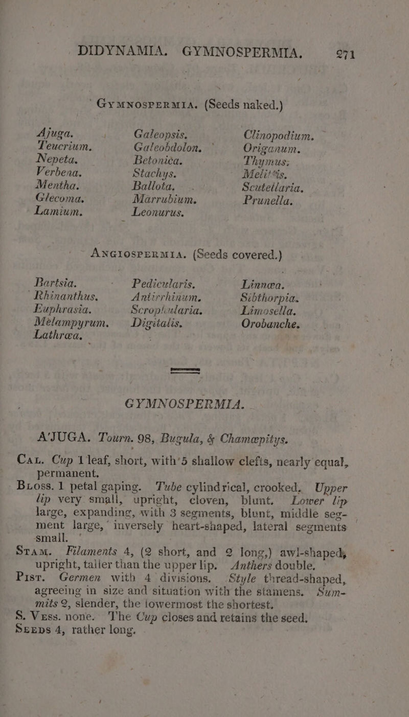 'GyMNosPeRMIA. (Seeds naked.) AJUR Ge Galeopsis, Clinopodium. — Teucrium. Galeobdolon. ° Origanum. Nepeta. Betonica. Thymus; Verbena. Stachys. Melit*is. Mentha. Ballota. . Scutellaria. Glecoma. Marrubium. Prunella. Lamium. Leonurus. ANGIOSPERMIA. (Seeds covered.) Bartsia. - Pedicularis. Linnea. Rhinanthus. Antirrhinum. Sibthorpia. Euphrasia. Scroplularia. Limosella. Meélampyrum. Digitalis. Orobanche. Lathrea, GYMNOSPERMIA. - A'JUGA. Tourn. 98, Bugula, &amp; Chameepitys. Cau. Cup Leaf, short, with’5 shallow clefts, nearly equal, permanent. : Bross. 1 petal gaping. Tube cylindrical, crooked. Upper “ip very small, upright, cloven, blunt. Lower lip large, expanding, with 3 segments, blunt, middle seg- _ ment large, inversely heart-shaped, lateral segments © small. ‘ , Stam. Filaments 4, (2 short, and 2 long,) awl-shaped, upright, taller than the upper lip. Anthers double. | Pist. Germen with 4 divisions. Style thread-shaped, agreeing in size and situation with the stamens. Szm- mits 2, slender, the lowermost the shortest. S. Vess. none. The Cup closes and retains the seed. SEEDs 4, rather long.