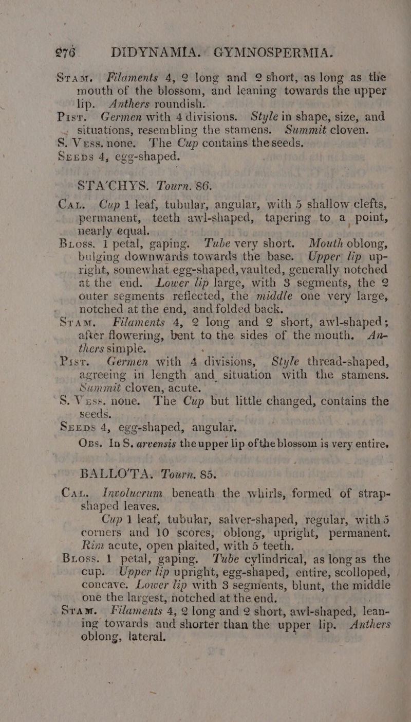 Stam. Filaments 4,2 long and 2 short, as long as the mouth of the blossom, and leaning towards the upper lip. Anthers roundish. Pisr. Germen with 4 divisions. Style in shape, size, and » Situations, resembling the stamens. Summit cloven. S. Vess.none. The Cup contains the seeds, SEEDS 4, egg-shaped. STA’CHYS. Tourn. 86. Cau. Cup 1 leaf, tubular, angular, with 5 shallow clefts, | permanent, teeth awl-shaped, tapering to a_ point, nearly equal. , . Bross. 1 petal, gaping. Tube very short. Mouth oblong, bulging downwards towards the base. Upper lip up- right, somewhat egg-shaped, vaulted, generally notched at the end. Lower lip large, with 3 segments, the 2 outer segments reflected, the middle one very large, notched z at the end, and folded back. Sram. Filaments 4, 2 long and 2 short, awl-shaped; after flowering, bent to the sides of the mouth. An- thers simple. Psst. Germen with 4 ‘divigions, Style thread-shaped, agreeing in length and. situation with the stamens. Summeat cloven, acute, ‘ S. Vuss. none. The Cup but little changed, contains the seeds. } Srreps 4, egg-shaped, angular. Oss. InS. arvensis the upper lip of the blossom is very entire. BALLO’TA. Tourn. 85. Cau. Involucrum beneath the whirls, formed of strap- shaped leaves. Cup 1 leaf, tubular, salver-shaped, regular, with 5 corners and 10 scores, oblong, upright, permanent. Rim acute, open plaited, with 5 teeth. Bross. 1 petal, gaping. Tube cylindrical, as longas the cup. Upper lip upright, egg-shaped, entire, scolloped, concave, Lower dip with 3 segments, blunt, the middle one the largest, notched at theend. Sram. Filaments 4, 2 long and 2 short, awl-shaped, lean- ing towards and shorter than the upper lip. Anthers oblong, lateral.