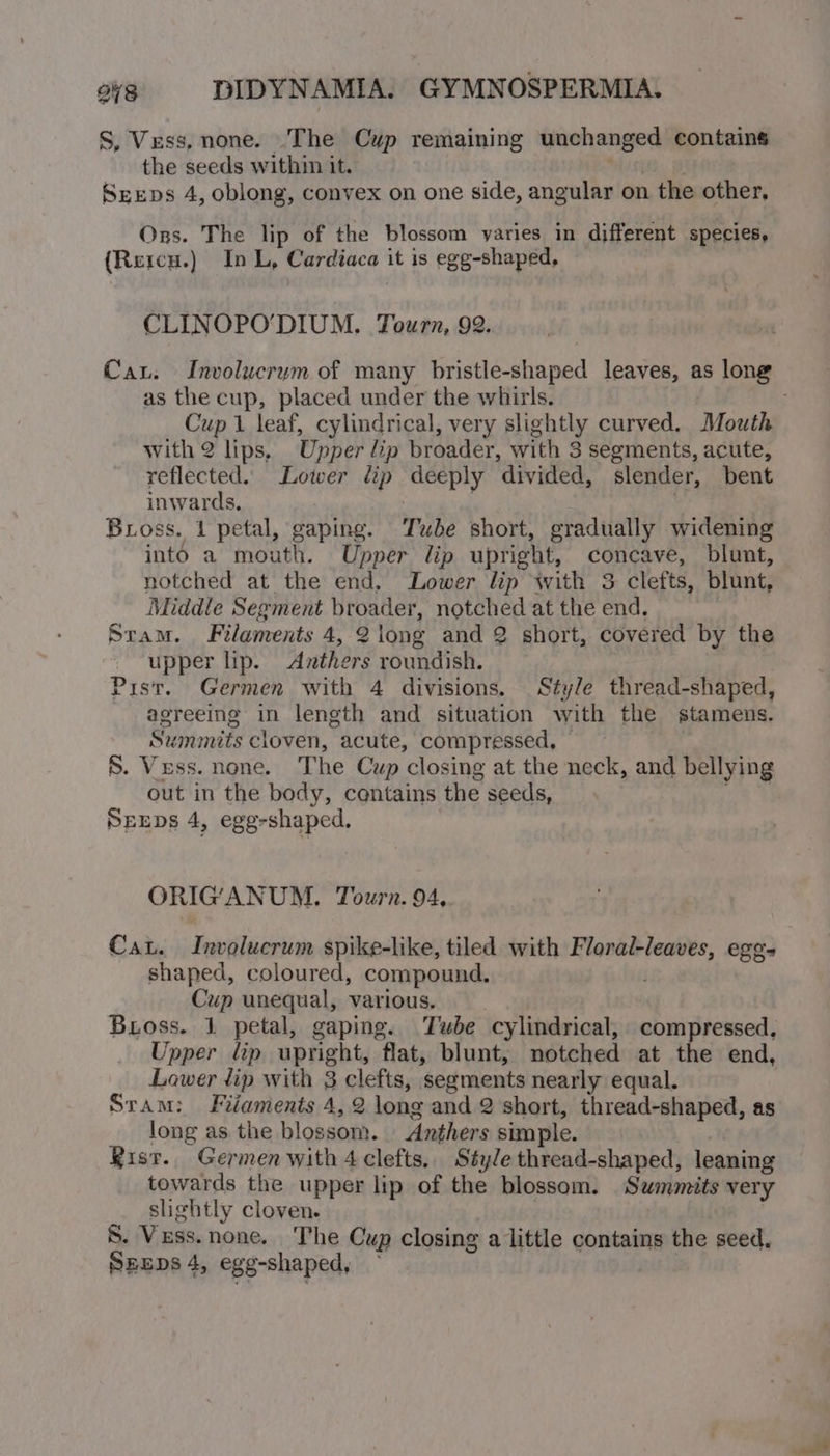 S, Vess, none. .The Cup remaining unchanged contains the seeds within it. Sreps 4, oblong, convex on one side, angular on the other, Orgs. The lip of the blossom varies in different species, {Reicu.) InL, Cardiaca it is egg-shaped, CLIN OPO'DIUM. Tourn, 92. Cau. Involucrum of many bristle-shaped leaves, as long as the cup, placed under the whirls. Cup 1 leaf, cylindrical, very slightly curved. Mouth with 2 lips, Upper hip broader, with 3 segments, acute, reflected. Lower lip deeply divided, slender, bent inwards, : A Bross. 1 petal, gaping. Tube short, gradually widening into a mouth. Upper lip upright, concave, blunt, notched at the end, Lower lip with 3 clefts, blunt, Middle Segment broader, notched at the end. Stam. Filaments 4, 2 long and 2 short, covered by the upper lip. Anthers roundish. Pist. Germen with 4 divisions. Style thread-shaped, agreeing in length and situation with the stamens. Summits cloven, acute, compressed, S. Vess. none. T he Cup ‘closing at the neck, and bellying out in the body, contains the seeds, Sexups 4, egg-shaped, ORIG'ANUM. Tourn. 94, Cat. Hoviilaention spike-like, tiled with Floral-leaves, ege- shaped, coloured, compound. Cup unequal, various. Bross. 1 petal, gaping. Tube cylindrical, compressed. Upper lip upright, flat, blunt, notched at the end, Lawer tip with 3 clefts, segments nearly equal. Sram: Filaments 4, 2 long and 2 short, thread-shaped, as long as the blossom. Anthers simple. Rist. Germen with 4 clefts, Style thread-shaped, leaning towards the upper lip of the blossom. Swmmits very slightly cloven. S. Vess.none. The Cup closing a little contains the seed.