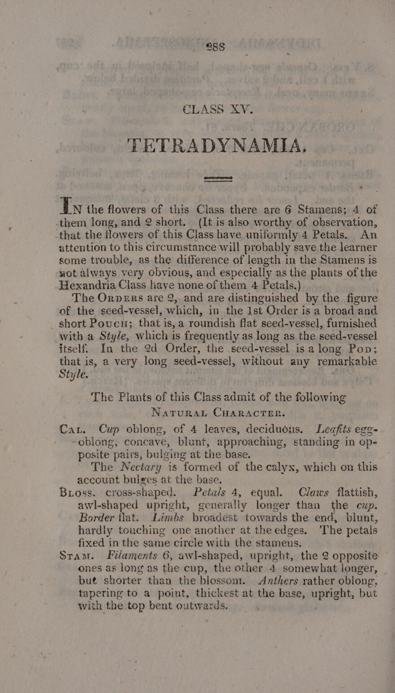 CLASS XV. yt) TETRADYNAMIA. Se ee _ ty the flowers of this Class there are 6 Stamens; 4 of them long, and 2 short. (It is also worthy of observation, that the flowers of this Class have uniformly 4 Petals. An attention to this circumstance will probably save the learner some trouble, as the difference of length in the Stamens is not always very obvious, and especially as the plants of the Hexandria Class have none of them 4 Petals.) The Orpers are 2, and are distinguished by the figure of the sced-vessel, which, in the lst Order is a broad and _ short Poucu; that is,a roundish flat seed-vessel, furnished with a Style, which is frequently as long as the seed-vessel itself. In the 2d Order, the seed-vessel is a long Pop; that is, a very long seed-vessel, without any remarkable Style. 4 : The Plants of this Class admit of the folowing NavruraL CHARACTER. Cat. Cup oblong, of 4 leaves, deciduous. Leafits egg- -oblong, concave, blunt, approaching, standing in op- posite pairs, bulging at the base. The Nectary is formed of the calyx, which on this account bulges at the base. Buioss. cross-shaped. Petals 4, equal. Claws flattish, awl-shaped upright, generally longer than the cup. Border flat. Limbs broadest towards the end, blunt, hardly touching one another at theedges. ‘The petals fixed in the same circle with the stamens. Stam. Filaments 6, awl-shaped, upright, the 2 opposite ones as long as the cup, the other 4 somewhat longer, but shorter than the blossom. Anthers rather oblong, tapering to a point, thickest at the base, upright, but with the.top bent outwards. \ .