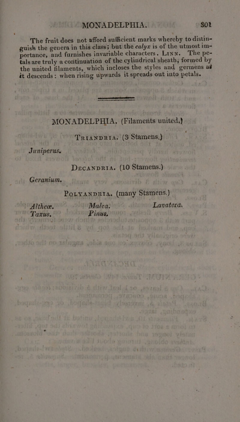 MONADELPHIA. Sot The fruit does not afford sufficient marks whereby to distin- guish the genera in this class; but the calyw is of the utmost im- portance, and furnishes invariable characters. Linn. The pe- tals are truly a continuation of the cylindrical sheath; formed by the united filaments, which incloses the styles and germens a8 it descends: when rising upwards it spreads out into petals. MONADELPHIA, (Filaments united,) TRIANDRIA. (3 Stamens.) Juniperus. Decanpria. (10 Stamens.) Geranium. PoLYANDRIA. (many Stamens.) Althee. | Malea: Lavatera. Taxus. Pinus.