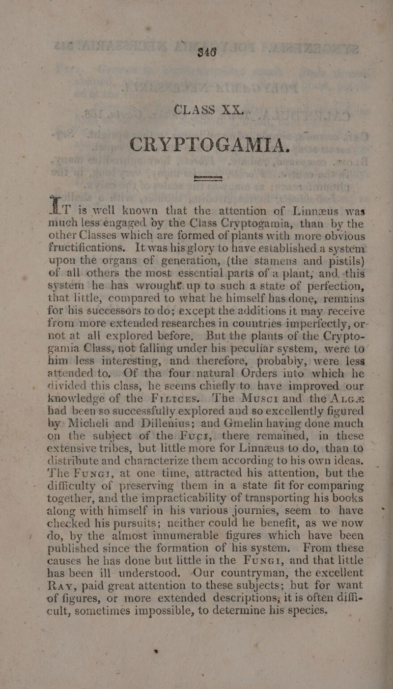 CLASS: XX CRYPTOGAMIA. eee en ee cult, sometimes impossible, to determine his species. : ~ : et gh
