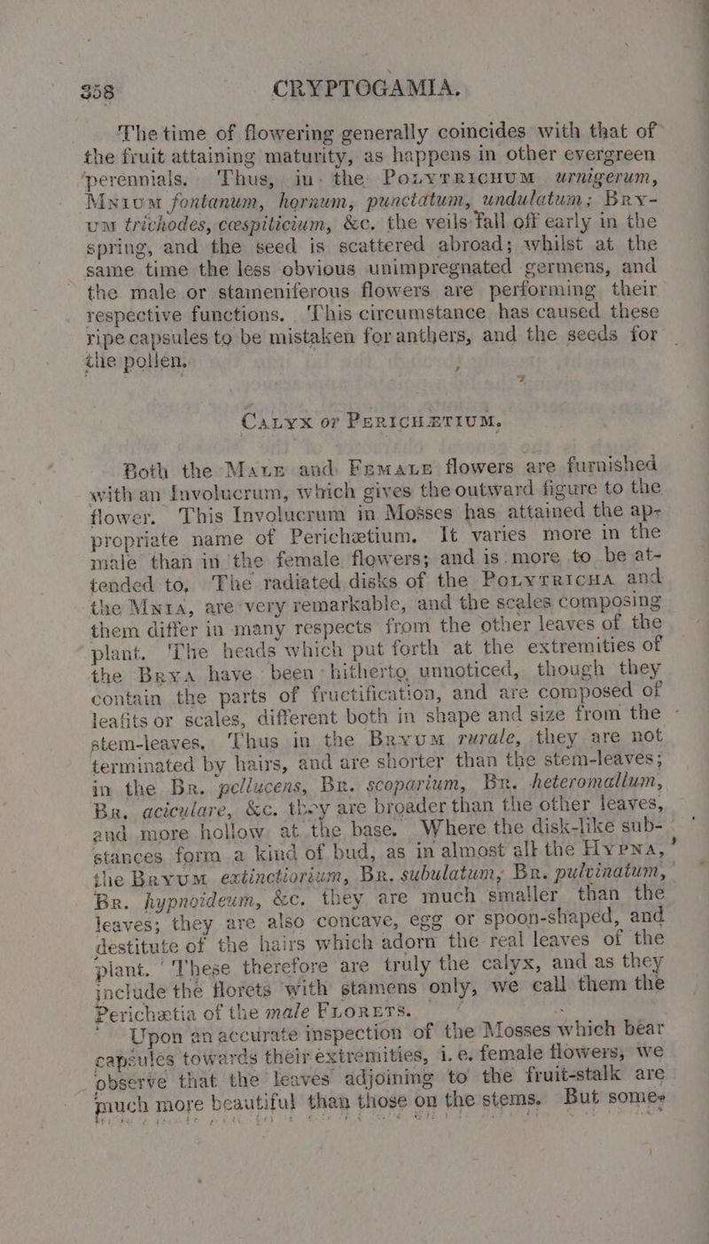 The time of flowering generally coincides with that of the fruit attaining maturity, as happens in other evergreen perennials. Thus, in- the PozyrRicnum urnigerum, Myiom fontanum, hornum, punctatum, undulatum; Bry- um trichodes, cespiticium, &amp;c. the veils fall off early in the spring, and the seed is scattered abroad; whilst at the same time the less obvious unimpregnated germens, and the male or stameniferous flowers are performing their respective functions. ‘This circumstance has caused these ripe capsules to be mistaken for anthers, and the seeds for ihe pollen. | ee . | 7 CaLyx or PeRICHETIUM, Both the Maze and) Femaue flowers are furnished flower. This Involucrum in Moses has attained the ap- propriate name of Perichetium, It varies more in the male than in the female flowers; and is.more to be at- tended to, The radiated disks of the Poryrricua and the My1a, are very remarkable, and the scales composing them differ in many respects from the other leaves of the plant. ‘The heads which put forth at the extremities of the Brya have been hitherto, unnoticed, though they contain the parts of fructification, and are composed of leafits or scales, different beth in shape and size from the atem-leaves, Thus in the Bryum rurale, they are not terminated by hairs, aud are shorter than the stem-leaves ; in the Br. pellucens, Br. scoparium, Br. heteromallum, Br. aciculare, &amp;c. they are broader than the other leaves, and more hollow at the base. Where the disk-like sub- stances form a kind of bud, as in almost alk the Hypna, “ Br. hypnoideum, &amp;c. they are much smaller than the leaves; they are also concave, egg or spoon-shaped, and destitute of the hairs which adorn the real leaves of the plant. ‘These therefore are truly the calyx, and as they include the florets with stamens only, we call them the Perichetia of the male FLoRETS. — ~ Upon an accurate inspection of the Mosses which bear capsules towards their extremities, 1. e. female flowers, we _pbserve that the leaves adjoining to the fruit-stalk are auch more beautiful than those on the stems. But somes )