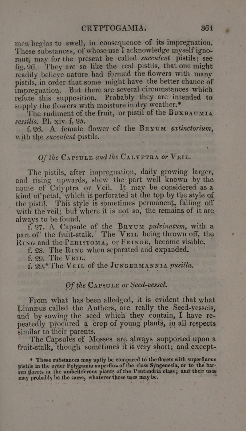 men begins to swell, in consequence of its impregnation. These substances, of whose use J acknowledge myself igno- rant, may for the present be called succulent pistils; see fig.26. ‘They are so like the real pistils, that one might readily believe nature had formed the flowers with many pistils, in order that some might have the better chance of impregnation. But there are several circumstances which refute this supposition. Probably they are intended to, supply the flowers with moisture in dry weather.* The rudiment of the fruit, or pistil of the Boxsaumia sessilis, Pl. xiv. f. 25. f.26, A female flower of the Bryum extinctorium, with the succulent pistils. | Of the Carsue and the Cauyptra or VEIL, The pistils, after impregnation, daily growing larger, and rising upwards, shew the part well known by the name of Calyptra or Veil. It may be considered asa kind of petal, which is perforated at the top by the style of the pisti!. This style is sometimes permanent, falling off — with the'veil; but where it is not so, the remains of it are always to be found. | : f.27. A Capsule of the Bryum pulvinatum, with a part of’ the fruit-stalk.’ The Vein being thrown off, the Rivne and the Pertstoma, or Frince, become visible. — f. 28. The Rina when separated and expanded, f, 29. The VEIL. oe} Bid f, 29.*The Veix of the JuNGERMANNIA pusilla, Of the Carsuxe or Seed-vessel. From what has been alledged, it is evident that what Linnzus called the Anthers, are really the Seed-vessels, and by sowing the seed which they contain, 1 have re- peatedly procured a crop of young plants, in all respects similar totheir parents. | The Capsules of Mosses are always supported upon a fruit-stalk, though sometimes it is very short; and except- * These substances may aptly be compared to the florets with superfluous pistils in the order Polygamia’superflua of the class Syngenesia, or to the bar- ren florets in the umbelliferous plants of the Pentandria class ; and their useg - may probably be the same, whatever those uses may be,