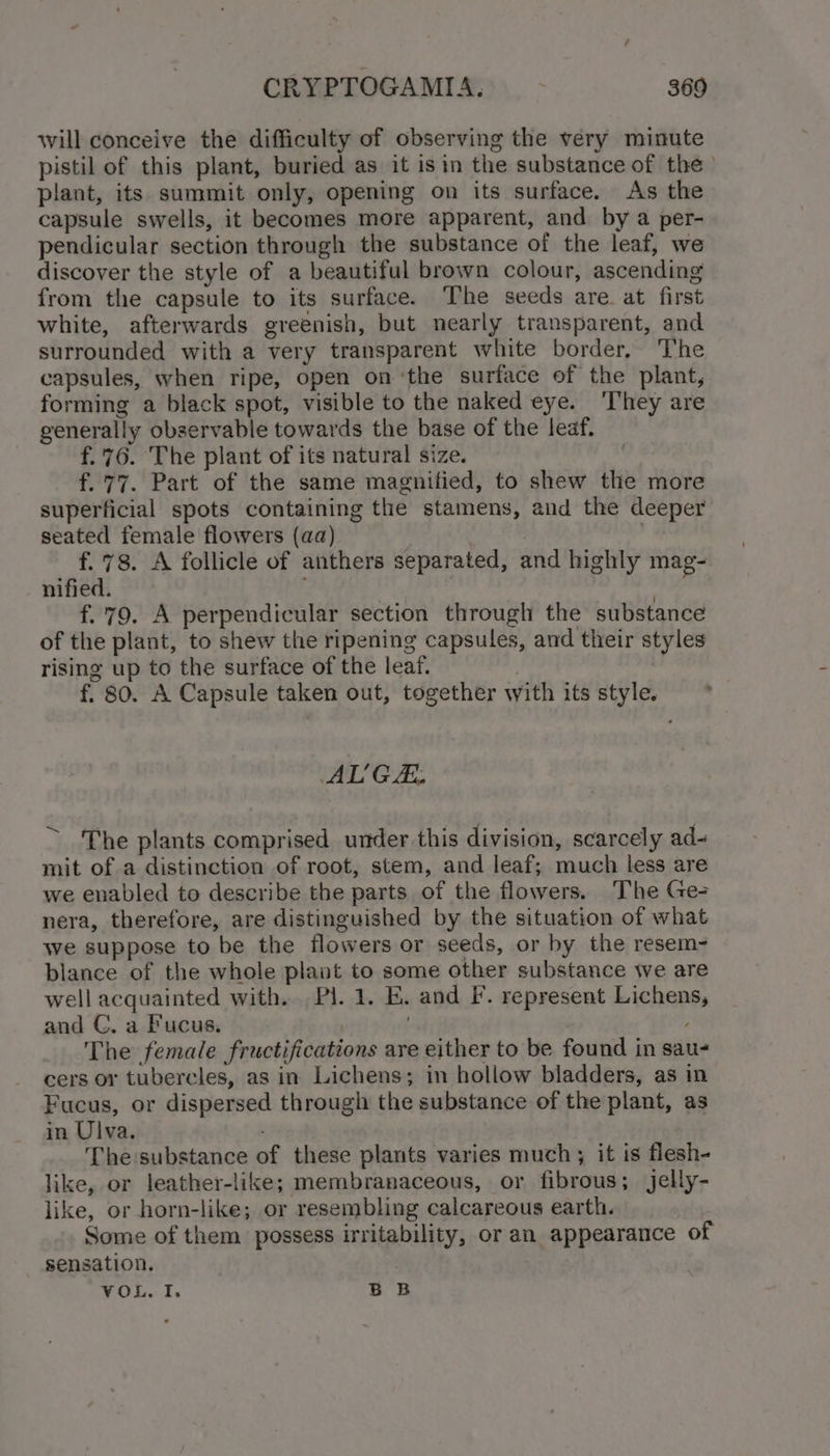 will conceive the difficulty of observing the very minute pistil of this plant, buried as it isin the substance of the) plant, its summit only, opening on its surface. As the capsule swells, it becomes more apparent, and by a per- pendicular section through the substance of the leaf, we discover the style of a beautiful brown colour, ascending from the capsule to its surface. The seeds are at first white, afterwards greenish, but nearly transparent, and surrounded with a very transparent white border. The capsules, when ripe, open on ‘the surface of the plant, forming a black spot, visible to the naked eye. ‘They are generally observable towards the base of the leaf. f.76. The plant of its natural size. f. 77. Part of the same magnified, to shew the more superficial spots containing the stamens, and the deeper seated female flowers (aa) . | f. 78. A follicle of anthers separated, and highly mag- nified. | f.79. A perpendicular section through the substance of the plant, to shew the ripening capsules, and their styles rising up to the surface of the leaf. f. 80. A Capsule taken out, together with its style. AL'GA. The plants comprised under this division, scarcely ad- mit of a distinction of root, stem, and leaf; much less are we enabled to describe the parts of the flowers. The Ge- nera, therefore, are distinguished by the situation of what we suppose to be the flowers or seeds, or hy the resem- blance of the whole plant to some other substance we are well acquainted with. Pl. 1. E. and F’. represent Lichens, and C. a Fucus. | ; The female fructifications are either to be found in sau- cers or tubercles, as in Lichens; in hollow bladders, as in Fucus, or dispersed through the substance of the plant, as in Ulva. The substance of these plants varies much ; it is flesh- like, or leather-like; membranaceous, or fibrous; jelly- like, or horn-like; or resembling calcareous earth. Some of them possess irritability, or an appearance of sensation. VOL. I. BB