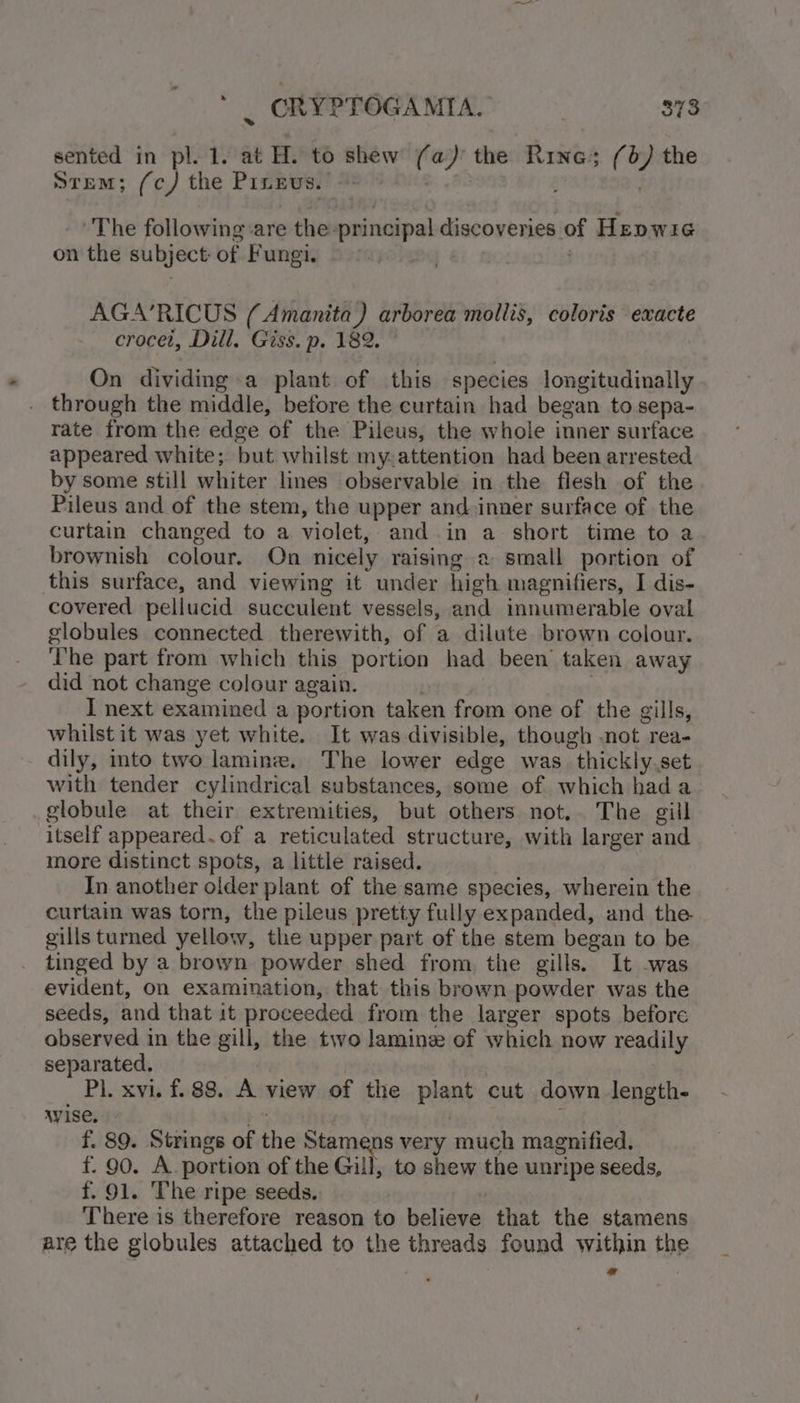 sented in pl. 1. at H. to shew (a) the Rine; (b/) the Stem; (c) the Pingus.’ © | | The following are the-principal discoveries of Hepwie on the subject: of Fungi. pogo eis . AGA’RICUS (Amanita) arborea mollis, coloris exacte crocet, Dill. Giss. p. 182. On dividing-a plant of this species longitudinally through the middle, before the curtain had began to sepa- rate from the edge of the Pileus, the whole inner surface appeared white; but whilst my-attention had been arrested by some still whiter lines observable in the flesh of the Pileus and of the stem, the upper and-inner surface of the curtain changed to a violet, and.in a short time to a brownish colour. On nicely raising a small portion of this surface, and viewing it under high magnifiers, I dis- covered pellucid succulent vessels, and innumerable oval globules connected therewith, of a dilute brown colour. The part from which this portion had been taken away did not change colour again. . I next examined a portion taken from one of the gills, whilst it was yet white. It was divisible, though not rea- dily, into two lamin. The lower edge was_thickly.set with tender cylindrical substances, some of which hada globule at their extremities, but others not.. The gill itself appeared. of a reticulated structure, with larger and more distinct spots, a little raised. In another older plant of the same species, wherein the curtain was torn, the pileus pretty fully expanded, and the gills turned yellow, the upper part of the stem began to be tinged by a brown powder shed from, the gills. It -was evident, On examination, that this brown powder was the seeds, and that it proceeded from the larger spots before observed in the gill, the two lamine of which now readily separated. Pl. xvi. f. 88. A view of the plant cut down length- wise, : f. 89. Strings of the Stamens very much magnified, f. 90. A. portion of the Gill, to shew the unripe seeds, f. 91. The ripe seeds. There is therefore reason to believe that the stamens are the globules attached to the threads found within the a