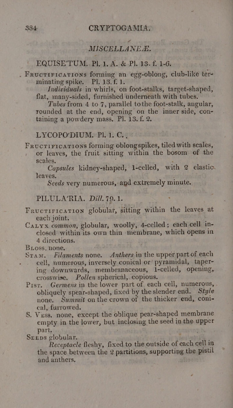 MISCELLANEZ.. EQUISE’TUM..PL.1. A. &amp; Pl. 13. f. 1-6: . Fructiricarirons forming an egg-oblong, club-like ter- minating spike. Pl. 13. f. 1. Individuals in whirls, on foot-stalks, target-shaped, flat, many-sided, furnished underneath with tubes. Tubes from 4 to 7, parallel tothe foot-stalk, angular, rounded at the end, opening on the inner side, con- taining a powdery mass. PI. 13.f. 2. LYCOPO’DIUM. Pl. 1. C., Frucrirications forming oblong spikes, tiled with scales, | or leaves, the fruit sitting within the bosom of the scales. . ; Capsules kidney-shaped, 1-celled, with 2 elastic. leaves. Seeds very numerous, and extremely minute. PILULA‘RIA. Dill. 79.1. Frucrirication globular, sitting within the leaves at each joint. CaLyx common, globular, woolly, 4-celled; each cell in- closed within its own thin membrane, which opens in 4 directions. Bross, none. Stam. Filaments none. Anthers in the upper part of each cell, numerous, inversely conical or pyramidal, taper- ing downwards, membranaceous, 1-celled, opening, crosswise. Pollen spherical,. copious, Pisr. Germens in the lower part of each cell, numerous, . obliquely spear-shaped, fixed by the slender end. Style none. Summit onthe crown of the thicker end, coni- cal, furrowed. j : S. Vess. none, except the oblique pear-shaped membrane empty in the lower, but inclosing the seed in the upper part. Seeps globular. : rm Receptacle fleshy, fixed to the outside of each cell in the space between the 2 partitions, supporting the pistil and anthers, .