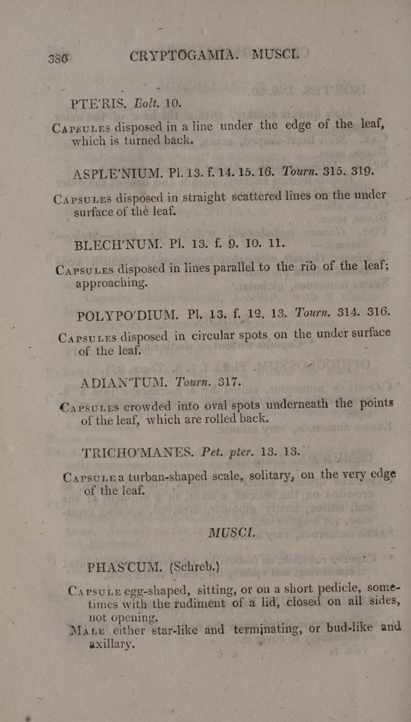 -~ 386 CRYPTOGAMIA. MUSCI. a“ PTE’RIS. Bolt. 10. Capsures disposed in a line under the edge of the leaf, which is turned back. ASPLE’NIUM. Pl. 13. £14. 15.16. Tourn. 315. 319. CapsuLes disposed in straight scattered lines on the under _ surface of the leaf. BLECH’NUM. Pl. 13. f. 9. 10. 11. Capsuxes disposed in lines parallel to the rib of the leaf; approaching. POLYPO’DIUM. Pl. 13, f. 12. 13. Tourn. 314. 316. Capsuces disposed in circular spots on the under surface of the leaf. ag ADIAN’TUM. Tourn. 317. CapsuLes crowded into oval spots underneath the points of the leaf, which are rolled back. TRICHO'MANES. Pet. pter. 13. 13. é Caprsunea turban-shaped scale, solitary, on the very edge of the leaf. MUSCI. PHASCUM. (Schreb.) CapsuLe egg-shaped, sitting, or on a short pedicle, some- times with the rudiment of a lid, closed on all sides, not opening. Mate either star-like and termjnating, or bud-like and axillary. :