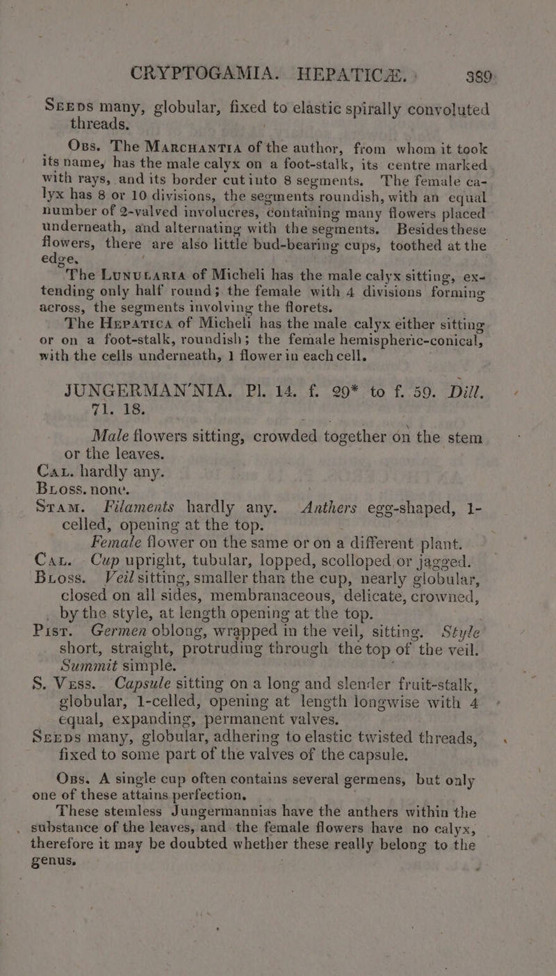 SEDs many, globular, fixed to elastic spirally convoluted threads. | _ Oss. The Marcnantra of the author, from whom it took its name, has the male calyx on a foot-stalk, its centre marked with rays, and its border cut into 8 segments. The female ca- lyx has 8 or 10 divisions, the segments roundish, with an equal number of 2-valved involucres, containing many flowers placed underneath, and alternating with the segments. Besides these pti, there are also little bud-bearing cups, toothed at the edge, . . The Lunutarra of Micheli has the male calyx sitting, ex- tending only half round; the female with 4 divisions forming across, the segments involving the florets. The Heparica of Micheli has the male calyx either sitting or on a foot-stalk, roundish; the female hemispheric-conical, with the cells underneath, 1 flowerin eachcell. JUNGERMAN’NIA, Pl. 14. f. 99* to f. 59. Dill. 71. 18. Male flowers sitting, crowded together on the stem or the leaves. Cat. hardly any. Bross. none. | Stam. Filaments hardly any. Anthers egg-shaped, 1- celled, opening at the top. Female flower on the same or on a different plant. Cau. Cup upright, tubular, lopped, scolloped or jagged. Bross. Veil sitting, smaller than the cup, nearly globular, closed on all sides, membranaceous, delicate, crowned, . by the style, at length opening at the top. Pist. Germen oblong, wrapped in the veil, sitting. Style short, straight, protruding through the top of the veil. Summit simple. ' S. Vess. Capsule sitting on a long and slender fruit-stalk, globular, 1-celled, opening at length longwise with 4 equal, expanding, permanent valves. Servs many, globular, adhering to elastic twisted threads, fixed to some part of the valves of the capsule. Oxs. A single cup often contains several germens, but only one of these attains perfection, These stemless Jungermannias have the anthers within the . substance of the leaves, and the female flowers have no calyx, — therefore it may be doubted whether these really belong to the genus,