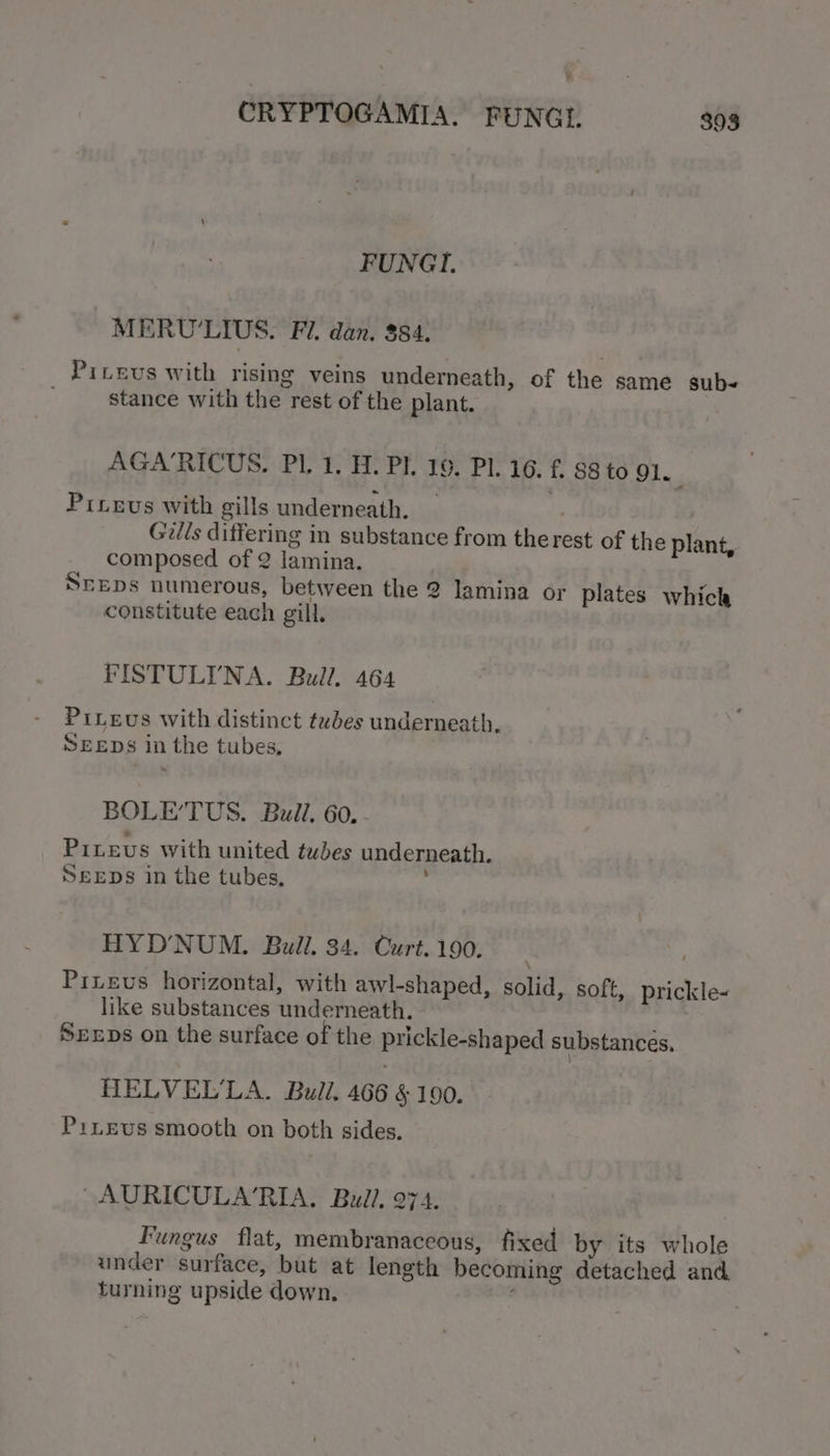 FUNGI. : MERU'LIUS. Fi. dan. 384. Piteus with rising veins underneath, of the same sub- stance with the rest of the plant. AGA‘RICUS. Pl. 1. H. Pl. 19. Pl. 16. f 88 to 91. Pitgxus with gills underneath. Gills differing in substance from then rest of the plant, composed of 2 lamina. SEEDS numerous, between the 2 lamina or plates which constitute each gill. PISTULI'NA. Bull, 464 PiLevus with distinct tubes underneath. SEEDS | in 1 the tubes, BOLE’TUS. Bull. 60. Pinevs with united tubes underneath, SEEDS in the tubes, HYD’NUM. Bull. 34. Curt. 190. Piisvus horizontal, with awl-shaped, solid, soft, prickle- like substances andementh. rye Sreups on the surface of the prickle-shaped substances, HELVEL’LA. Bull. 466 § 190. PrLEvs smooth on both sides. ~AURICULA’RIA., Bull. 274. Fungus flat, membranaceous, fixed by its whole under surface, ‘but at length becoming detached and turning upside down.