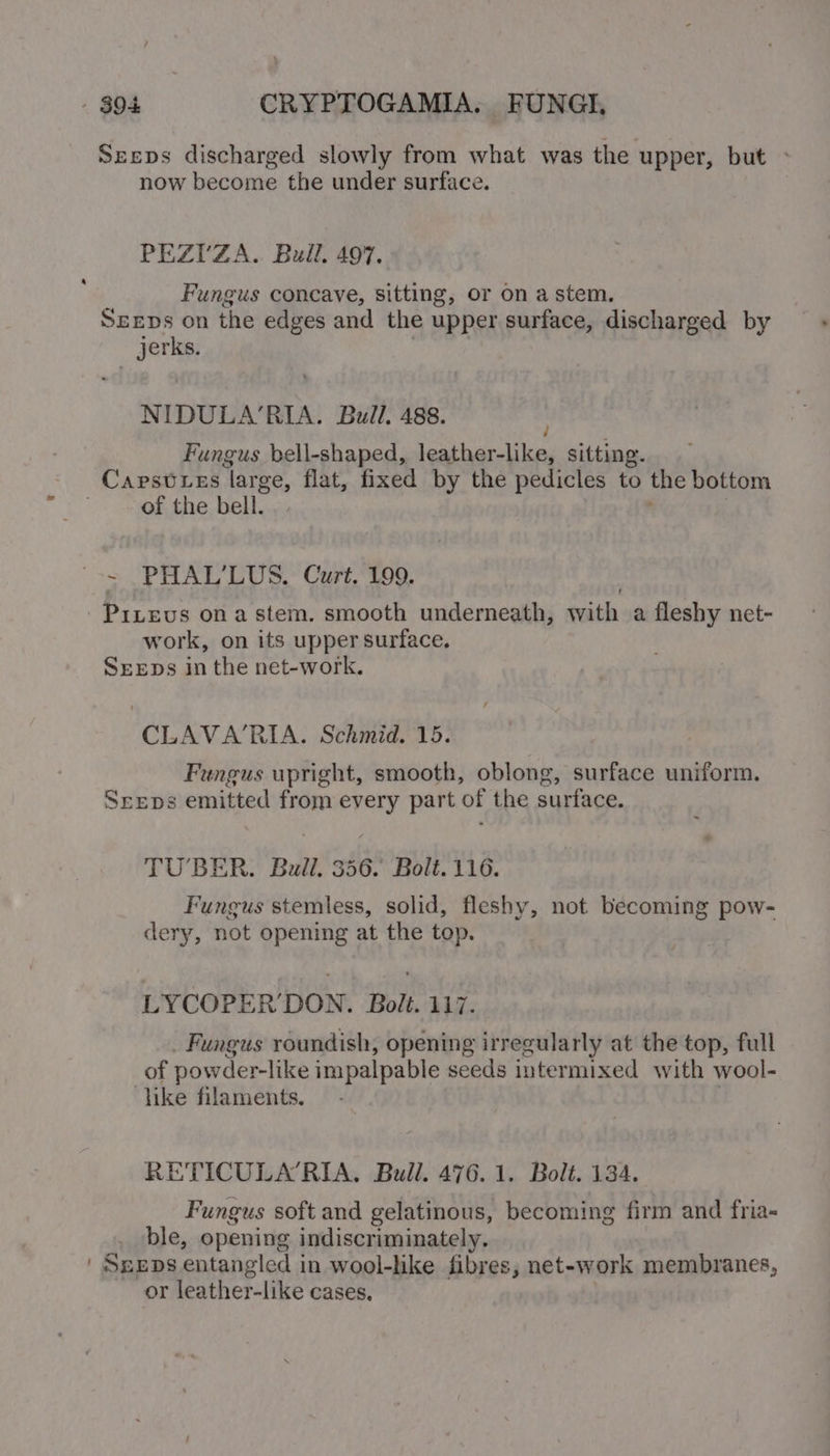 - $94 CRYPTOGAMIA. FUNGI, Szeps discharged slowly from what was the upper, but » now become the under surface. PEZUV’ZA. Bull. 497. Fungus concave, sitting, or on a stem. Sxrps on the edges and the upper surface, discharged by jerks. NIDULA’RIA. Bull. 488. Fungus bell-shaped, leather-like, sitting. — Capsttes large, flat, fixed by the pedicles to the bottom of the bell. -~ PHAL’LUS. Curt. 199. -Pitevs ona stem. smooth underneath, with a fleshy net- work, on its upper surface. SreEps in the net-work. CLAVA/’RIA. Schmid. 15. Fungus upright, smooth, oblong, surface uniform. SrEeps emitted from every part of the surface. TUBER. Bull. 356. Bolt. 116. Fungus stemless, solid, fleshy, not becoming pow- dery, not opening at the top. LYCOPER’DON. Bolt. 117. Fungus roundish, opening irregularly at the top, full of powder-like impalpable seeds intermixed with wool- like filaments. RETICULA’RIA, Bull. 476.1. Bolt. 134. Fungus soft and gelatinous, becoming firm and fria- ble, opening indiscriminately, | Sezps entangled i in wool-like fibres, net-work membranes, or leather-like cases. .