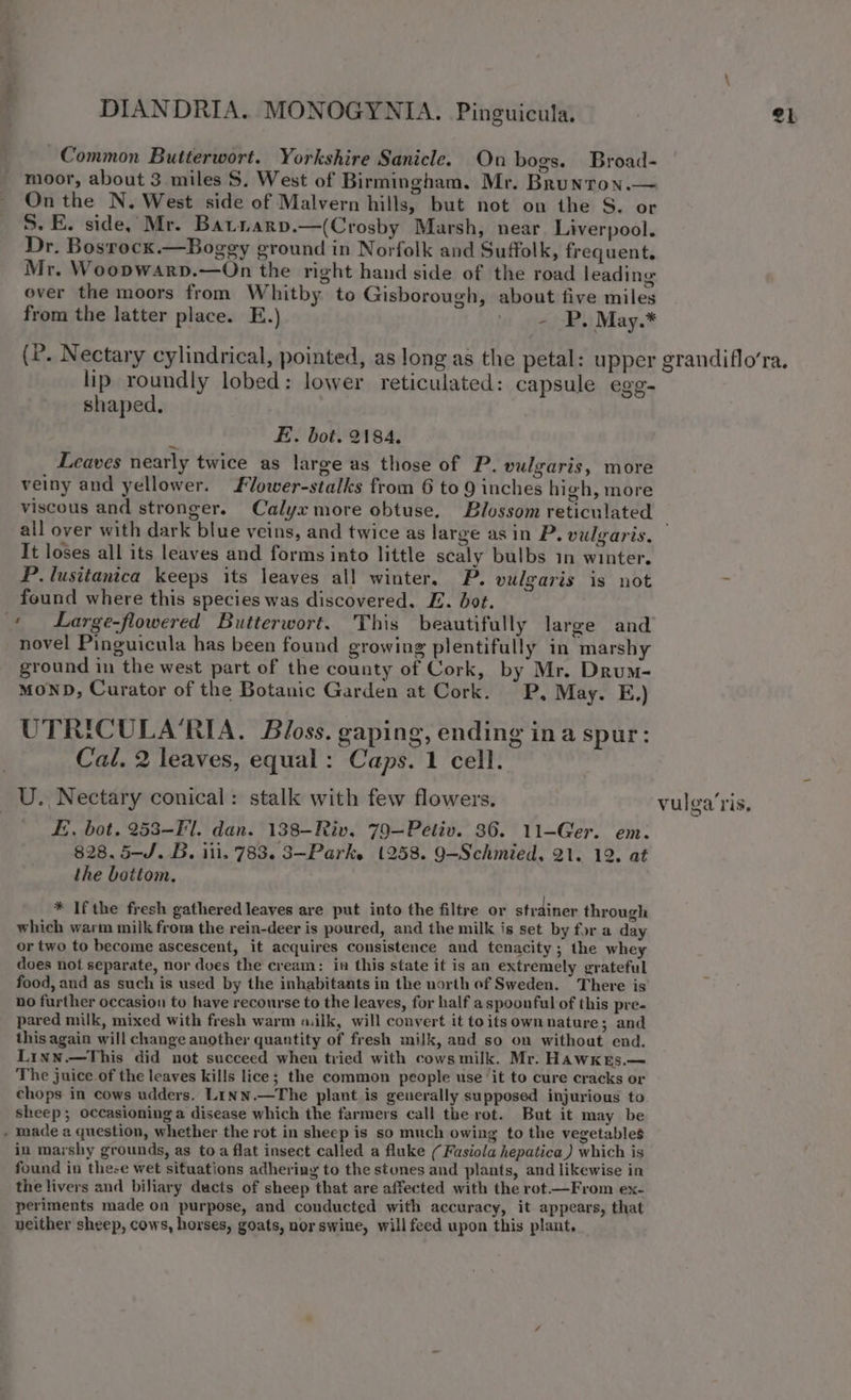 Common Butterwort. Yorkshire Sanicle. On bogs. Broad- moor, about 3 miles S. West of Birmingham. Mr. Brunron.— On the N. West side of Malvern hills, but not on the S. or S. E. side, Mr. Batnarp.—(Crosby Marsh, near. Liverpool. Dr. Bosrocx.—Boggy ground in Norfolk and Suffolk, frequent. Mr. Woopwarp.—On the right hand side of the road leading ever the moors from Whitby to Gisborough, about five miles from the latter place. E.) Mi poe ps; May.* lip roundly lobed: lower reticulated: capsule egg- shaped, | E.. bot. 2184. Leaves nearly twice as large as those of P. vulgaris, more veiny and yellower. SVower-stalks from 6 to 9 inches high, more all over with dark blue veins, and twice as large as in P. vulgaris, It loses all its leaves and forms into little scaly bulbs in winter. P. lusitanica keeps its leaves all winter, P. vulgaris is not found where this species was discovered. E. bot. novel Pinguicula has been found growing plentifully in marshy ground in the west part of the county of Cork, by Mr. Drum- MOND, Curator of the Botanic Garden at Cork. P, May. E.) UTRICULA’RIA. Bloss. gaping, ending ina spur: Cal. 2 leaves, equal: Caps. 1 cell. U. Nectary conical: stalk with few flowers. £. bot. 253-Fl. dan. 138-Riv, 79—Petiv. 36. ; 11-—Ger. em. the bottom, * Ifthe fresh gathered leaves are put into the filtre or strainer through which warm milk from the rein-deer is poured, and the milk is set by for a day or two to become ascescent, it acquires consistence and tenacity; the whey does not separate, nor dues the cream: in this state it is an extremely grateful food, and as such is used by the inhabitants in the north ef Sweden. There is no further occasion to have recourse to the leaves, for half a spoonful of this pre- pared milk, mixed with fresh warm «ilk, will convert it toitsown nature; and this again will change another quantity of fresh milk, and so on withoat end. Linn.—This did not succeed when tried with cows milk. Mr. HAWKEs.— The juice of the leaves kills lice; the common people use it to cure cracks or chops in cows udders. Linn.—The plant is generally supposed injurious to sheep; occasioning a disease which the farmers call the rot. But it may be - made a question, whether the rot in sheep is so much owing to the vegetables in marshy grounds, as toa flat insect called a fluke ( Fusiola hepatica) which is found in these wet situations adhering to the stones and plants, and likewise in the livers and biliary ducts of sheep that are affected with the rot —From ex- periments made on purpose, and conducted with accuracy, it appears, that neither sheep, cows, horses, goats, nor swine, will feed upon this plant, vulga’ris,