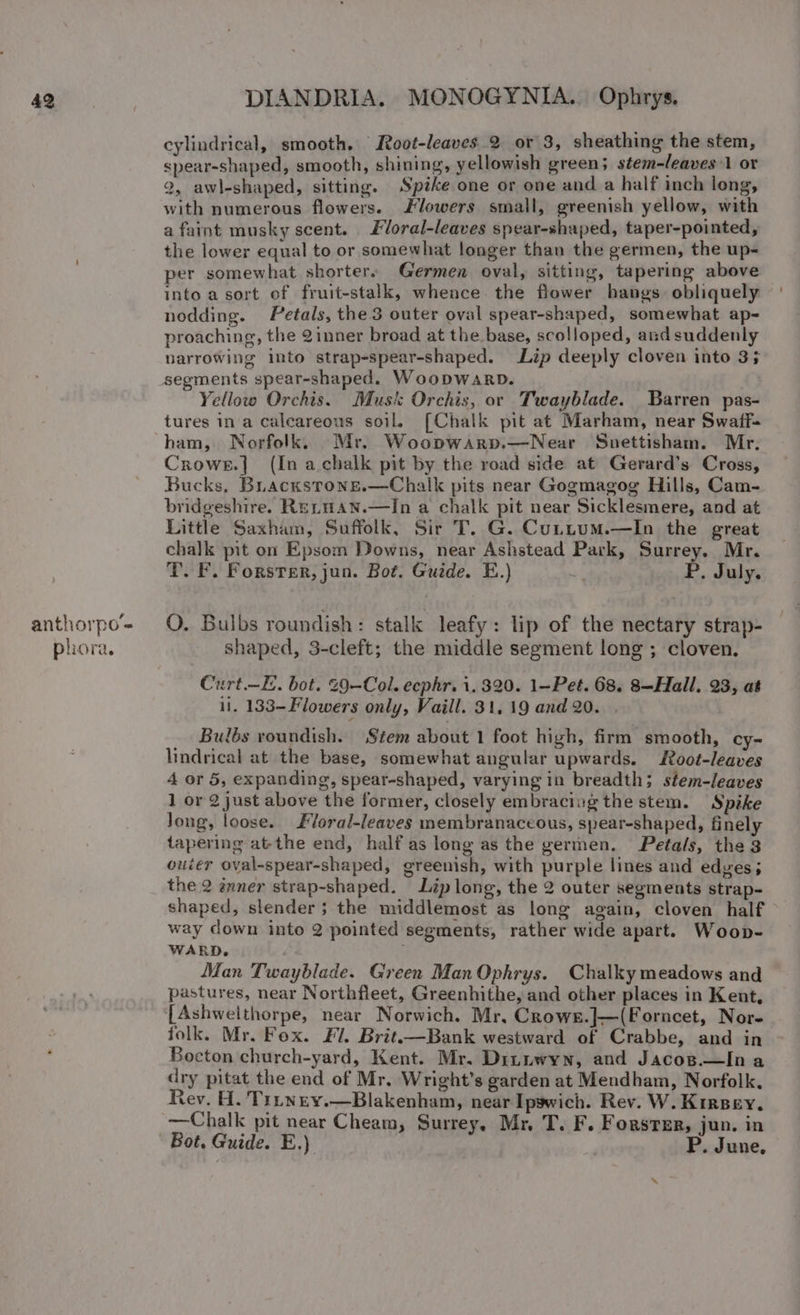 anthorpo= phora. DIANDRIA. MONOGYNIA.. Ophrys. cylindrical, smooth. Root-leaves.2 or 3, sheathing the stem, spear-shaped, smooth, shining, yellowish green; stem-leaves 1 or 2, awl-shaped, sitting. Spike one or one and a half inch long, with numerous flowers. lowers small, greenish yellow, with a faint musky scent. Floral-leaves spear-shaped, taper-pointed, the lower equal to or somewhat longer than the germen, the up- per somewhat shorter. Germen oval, sitting, tapering above into a sort of fruit-stalk, whence the flower hangs obliquely nodding. Petals, the 3 outer oval spear-shaped, somewhat ap- proaching, the 2inner broad at the base, scolloped, and suddenly narrowing into strap-spear-shaped. Lip deeply cloven into 3; Yellow Orchis. Musk Orchis, or Twayblade. Barren pas- tures ina calcareous soil, [Chalk pit at Marham, near Swaff- ham, Norfolk. Mr. Woopwarp.—Near Snettisham. Mr. Crowe.] (In a chalk pit by the road side at Gerard’s Cross, Bucks, Bracwstone.—Chalk pits near Gogmagog Hills, Cam- bridgeshire. RennAN.—In a chalk pit near Sicklesmere, and at Little Saxham, Suffolk, Sir T. G. Cuttum.—In the great chalk pit on Epsom Downs, near Ashstead Park, Surrey. Mr. T. F. Forster, jun. Bot. Guide. E.) 3 P. July. O. Bulbs roundish: stalk leafy: lip of the nectary strap- shaped, 3-cleft; the middle segment long ; cloven. Curt.—E. bot. 9-Col. ecphr. i. 320. 1-Pet. 68. 8—Hall. 23, at li. 133-Flowers only, Vaill. 31,19 and 20. . Bulés roundish. Stem about 1 foot high, firm smooth, cy- lindrical at the base, somewhat angular upwards. Root-leaves 4 or 5, expanding, spear-shaped, varying in breadth; stem-leaves 1 or 2 just above the former, closely embracing the stem. Spike long, loose. Floral-leaves membranaceous, spear-shaped, finely tapering atthe end, half as long as the germen. Petals, the 3 outer oval-spear-shaped, greenish, with purple lines and edges; the 2 émner strap-shaped. Lip long, the 2 outer segments strap- shaped, slender; the middlemost as long again, cloven half way down into 2 pointed segments, rather wide apart. Woop- WARD. Man Twayblade. Green Man Ophrys. Chalky meadows and pastures, near Northfleet, Greenhithe, and other places in Kent, [Ashwelthorpe, near Norwich, Mr, Crowe.]—(Forncet, Nor- folk. Mr. Fox. Fl. Brit.—Bank westward of Crabbe, and in Bocton church-yard, Kent. Mr. Dinnwyn, and Jacosp.—In a dry pitat the end of Mr. Wright’s garden at Mendham, Norfolk, —Chalk pit near Cheam, Surrey, Mr, T. F. Forster, jun. in Bot, Guide. E.) P. June,