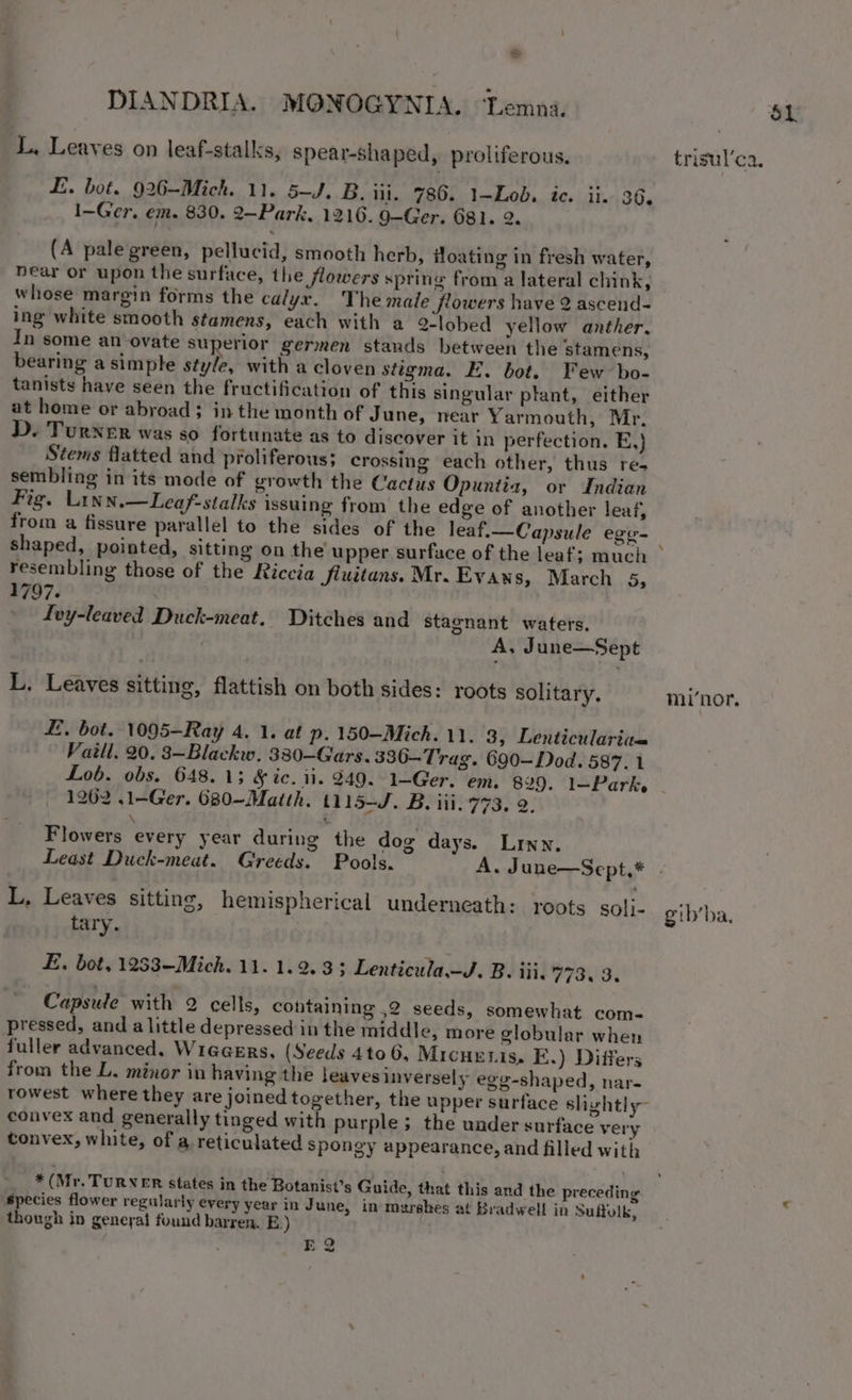 —) L, Leaves on leaf-stalks, spear-shaped, proliferous. Li. bot. 926-Mich. 11. 5-J. B. iii. 786. 1-Lob. ic. ii. 36. 1~Ger, em. 830. 2~Park, 1216. 9-Ger. 681. 2. (A palegreen, pellucid, smooth herb, floating in fresh water, near or upon the surface, the flowers spring from a lateral chink, whose margin forms the calyr. The male flowers have 2 ascend- ing white smooth stamens, each with a 2lobed yellow anther, In some an ovate superior germen stands between the stamens, bearing a simple style, with a cloven stigma. E. bot. Few bo- tanists have seen the fructification of this singular plant, either at home or abroad; in the month of June, near Yarmouth, Mr. D. Turner was so fortunate as to discover it in perfection. E,)} Stems flatted and proliferous; crossing each other, thus re- sembling in its mode of growth the Cactus Opuntia, or Indian Fig. Linn.—Leaf-stalks issuing from the edge of another leaf, from a fissure parallel to the sides of the leaf.— Capsule ege- resembling those of the Riccia fluitans. Mr. Evaws, March 5, 1797. Ley-leaved Duck-meat. Ditches and stagnant waters. A, June—Sept L. Leaves sitting, flattish on both sides: roots solitary. £, bot. 1095—Ray 4. 1. at p. 150—Mich. 11. 3, Lenticulariie Vaill. 20. 8—Blackw. 380—Giars. 336—Trag. 690—Dod. 587.1 Lob. obs. 648. 13 &amp; ic. ii. 249. 1—Ger. em. 829. 1—Park, 1262 .1-Ger. 680-Matth. t115-J. B. iii. 773. 2. \ ” ; Flowers every year during the dog days. Linn. L, Leaves sitting, hemispherical underneath: roots solj- tary. Capsute with 2 cells, containing ,2 seeds, somewhat com- pressed, and a little depressed in the middle, more globular when fuller advanced, Wiagers, (Seeds 4to 6, Micuenis, E.) Differs from the L. minor in having the leaves inversely egg-shaped, nar- rowest where they are joined together, the upper surface slightly- convex and generally tinged with purple; the under surface very tonvex, white, of a reticulated spongy appearance, and filled with * (Mr. TURNER states in the Botanist’s Guide, that this and the preceding species flower regularly every year in J une, in murshes at Bradwell in Suffolk, though in general found barren. E.) E2 trisul’ca. mi‘nor, gib’ba, $1