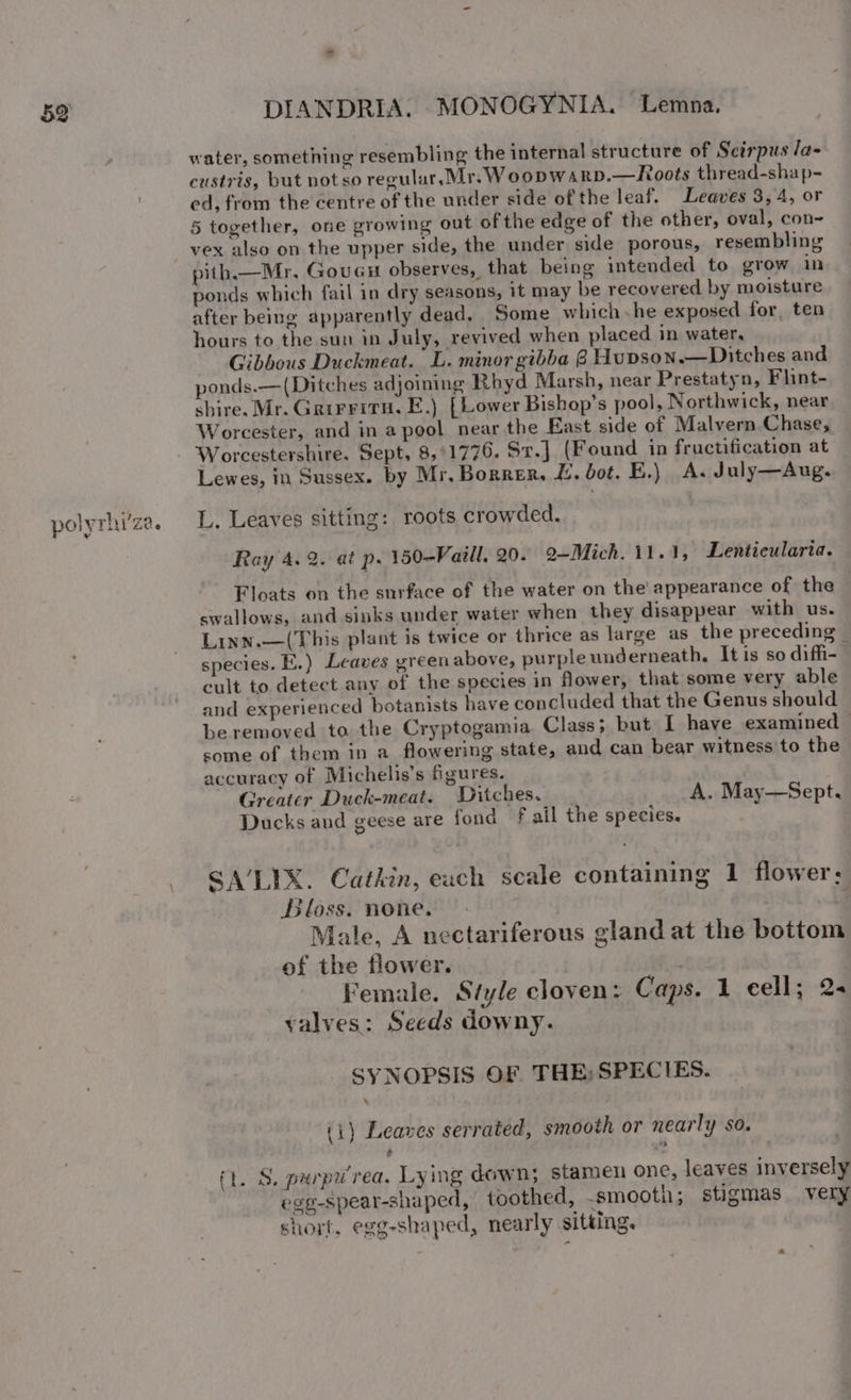 water, something resembling the internal structure of Scirpus la- custris, but notso regular, Mr. Woopwarp.—Roots thread-shap- ed, from the centre of the under side of the leaf. Leaves 3,4, or 5 together, one growing out of the edge of the other, oval, con- vex also on the upper side, the under side porous, resembling pith.— Mr. Goues observes, that being intended to grow in ponds which fail in dry seasons, it may be recovered by moisture after being apparently dead. Some which he exposed for, ten hours to the sun in July, revived when placed in water, Gibbous Duckmeat. L. minor gibba @ Hupson.—Ditches and ponds.— (Ditches adjoining Rhyd Marsh, near Prestatyn, Flint- shire. Mr. Garrritu. E.) [Lower Bishop’s pool, Northwick, near Worcester, and in a pool near the East side of Malvern Chase, - Worcestershire. Sept, 8,°1776. St.J (Found in fructification at Lewes, im Sussex. by Mr. Borner, Ee. bot. E.) A. July—Aug. polyrhi’ze. L, Leaves sitting: roots crowded. Ray 4.2. at p. 150-Vaill, 20. 9~Mich. 11.1, Lentieularia. Floats on the surface of the water on the appearance of the swallows, and sinks under water when they disappear with us. Linn.—(This plant is twice or thrice as large as the preceding © species. E.) Leaves green above, purpleunderneath, It is so diffi- cult to detect any of the species in flower, that some very able and experienced botanists have concluded that the Genus should be removed to the Cryptogamia Class; but I have examined some of them in a flowering state, and can bear witness to the accuracy of Michelis’s figures. Greater Duck-meat. Ditches. | A. May—Sept. Ducks and geese are fond fF ail the species. SA’LIX. Cathkin, each scale containing 1 flower; Bloss. none. ul Male, A nectariferous gland at the bottom of the flower. | Female. Style cloven: Caps. 1 eell; 2 valves: Seeds downy. SYNOPSIS OF THE;SPECIES. (1) Leaves serrated, smooth or nearly so. ft. S. purpurea. Lying down; stamen one, leaves inversely egg-spear-shaped, toothed, -smooth; stigmas very short. egg-shaped, nearly sitting.