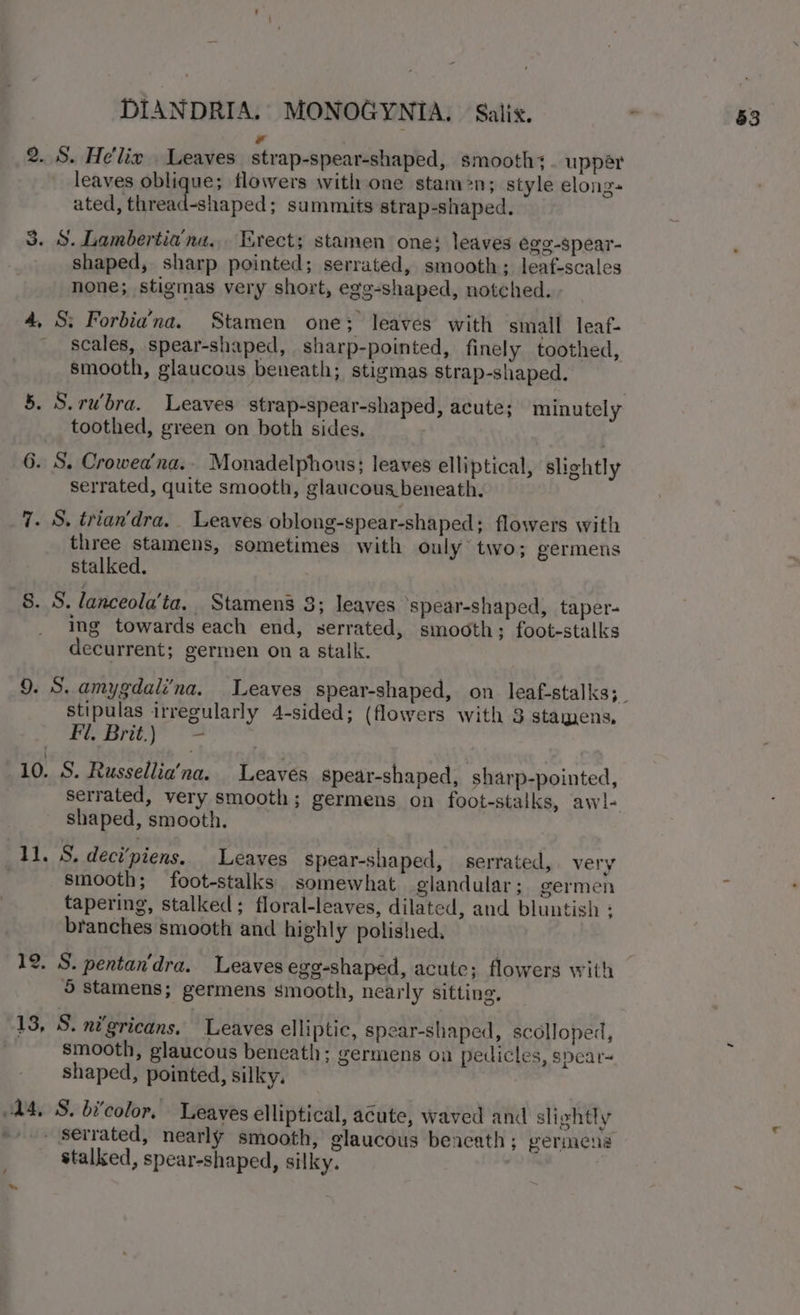 rd 2. S. He'lix Leaves strap-spear-shaped, smooth:. uppér leaves inch flowers with one stamen; style elong- ated, thread-shaped; summits strap-shaped. 3. 8. Lambertiana.. Erect; stamen one; leaves egg-spear- shaped, sharp pointed; serrated, smooth; leaf-scales none; stigmas very short, egg-shaped, notched. 4, S: Forbia’na. Stamen one; leaves with small leaf- scales, spear-shaped, sharp-pointed, finely toothed, smooth, glaucous beneath; stigmas strap-shaped. toothed, green on both sides. 6. S. Crowea’na.. Monadelphous; leaves elliptical, slightly serrated, quite smooth, glaucous beneath. 7. S. trian'dra. Leaves oblong-spear-shaped; flowers with three stamens, sometimes with ouly two; germens stalked, 8. S. lanceola’ta. Stamens 3; leaves ‘spear-shaped, taper- ing towards each end, serrated, smooth; foot-stalks decurrent; germen on a stalk. stipulas irregularly 4-sided; (flowers with 3 stamens, Fe Erie)? 10. S. Russellia'na. Leaves spear-shaped, sharp-pointed, shaped, smooth. 11. 5, deci’piens. Leaves spear-shaped, serrated, very smooth; foot-stalks somewhat glandular; germen tapering, stalked; floral-leaves, dilated, and bluntish ; branches smooth and highly polished, 12. S. pentan'dra. Leaves egg-shaped, acute; flowers with 5 stamens; germens smooth, nearly sitting, shaped, pointed, silky. 44, 5S. bicolor, Leaves elliptical, acute, waved and sli ghtly - Serrated, nearly smooth, glaucous beneath ; germens stalked, spear-shaped, silky. | |