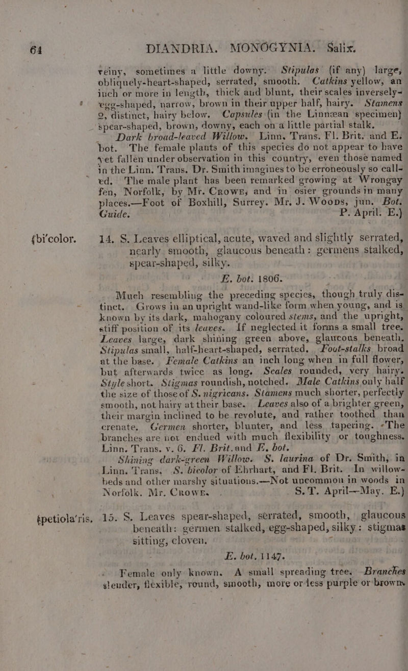 {bi'color. épetiola’ris. veiny, sometimes a little downy. Sttpulas (if any) large; obliquely-heart-shaped, serrated, smooth. Catkins yellow, an iuch or more in length, thick aud blunt, their scales inversely~ egg-shaped, narrow, brown in their upper half, hairy. Stamens 9, distinct, hairy below. Capsules (in the Linnzan specimen) _- Dark broad-leaved Willow. Linn. Trans. Fl. Brit, and E. bot. The female plants of this species do not appear to have ‘et fallen under observation in this country, even those named in the Linn. Trans. Dr. Smith imagines to be erroneously so call- ed. The male plant has been remarked growing at Wrongay fen, Norfolk, by Mr. Crows, and in osier grounds in many places.—Foot of Boxhill, Surrey. Mr. J. Woops, jun. Bot. Guide. P. April. E,) 14. S. Leaves elliptical, acute, waved and slightly serrated, nearly smooth, glaucous beneath: germens stalked, spear-shaped, silky. EF. bot. 1806. Much resembling the preceding species, though truly dis- tinct. Grows in an upright wand-like form when young, and is. known by its dark, mahogany coloured stems, and the upright, stiff position of its deaves. If neglected it forms a small tree. Leaves large, dark shining green above, glaucous beneath. Stipulas small, half-heart-shaped, serrated. Fovot-stalks broad at the base. Female Caikins an inch long when in full flower, but afterwards twice as long. Scales rounded, very hairy. Style short. Stigmas roundish, notched. Male Catkins only half the size of those of S. nigricans. Stamens much shorter, perfectly smooth, not hairy at their base. Leaves also of a brighter green, their margin inclined to be revolute, and rather toothed than crenate, Germen shorter, blunter, and less tapering. «The branches are net endued with much flexibility or toughness. Linn. Trans. v. 6. Fl. Brit.and FE, bot. Shining dark-green Willow. S. laurina of Dr. Smith, in Linn. Trans. S. bicolor of Ehrhart, and Fl. Brit. In willow- beds and other marshy situations.—Not uncommon in wonds in Norfolk. Mr. CRowk. _§.T. April—May. E.) 15. S. Leaves spear-shaped, serrated, smooth, glaucous beneath: germen stalked, egg-shaped, silky: stigmas sitting, cloven. 1834 | E. bot, 1147. Female only known. A’ small spreading tree. Branches slender, flexible; round, smooth, more or dess purple or browm
