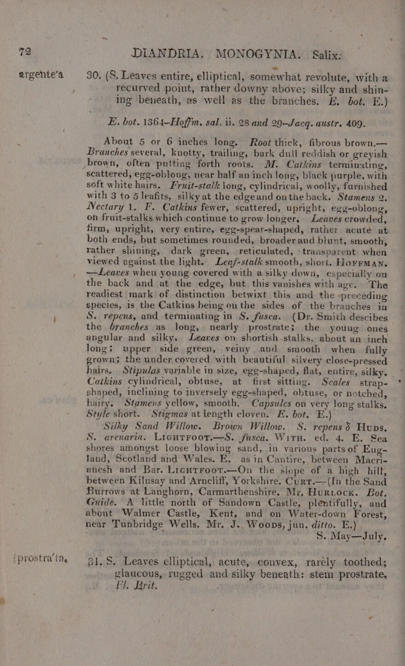 argente’a (prostra’ta, 30, (S. Leaves entire, elliptical, somewhat revolute, with a recurved point, rather downy above; silly and shin- ing beneath, as well as the branches. E. bot. E.) E. bot. 1364—Hoffm, sal. ii. 28 and 29—Jacq. austr. 409. About 5 or 6 inches long. Root thick, fibrous brown.— Branches several, knotty, trailing, bark dull reddish or greyish ybrown, often putting forth roots. M. Catkins terminating, scattered, ege-oblong, near half an inch long, black purple, with soft white hairs. Fruit-stalk long, cylindrical, woolly, furnished with 3 to 5 leafits, silky at the edgeand onthe back. Stamens 2. Nectary 1. F. Catkins fewer, scattered, upright, ege-oblong, on fruit-stalks which continue to grow longer, Leaves crowded, both ends, but sometimes rounded, broader and blunt, smooth, rather shining, dark green, . reticulated, ‘transparent when viewed against the light. Leaf-stalk smooth, short. HorrMAN. the back and at the edge, but this vanishes with age. The readiest mark of distinction betwixt this and the “preceding species, is the Catkins being onthe sides of the branches in S. repens, and terminating in §. fusca. (Dr. Smith descibes the branches as long, nearly prostrate; the young ones angular and silky. Leaves on shortish stalks, about an inch long; upper side green, veiny and smooth when fully grown; the under covered with beautiful silvery close-pressed Catkins cylindrical, obtuse, at first sitting. Scales strap- shaped, inclining to inversely egg-shaped, obtuse, or notched, hairy. Stamens yellow, smooth. Capsules on very long stalks, Style short. Stigmas at length cloven. E. bot, E.) Silky Sand Willow. Brown Willow. S. repens 5 Huns. S. arenaria. Ligutroot.—S. fusca. With. ed. 4. E. Sea shores amongst loose blowing sand, in various partsof Eng- Jand, Scotland and Wales. E, as in Cautire, between Macri- anesh and Bar. Lrenrroot.—On the slope of a high hill, between Kilnsay and Arncliff, Yorkshire. Curt.—(In the Sand Burrows at Langhorn, Carmarthenshire. Mr, Hurnock. Bot, Guide. A little north of Sandown Castle, pléentifully, and about Walmer Castle, Kent, and on Water-down Forest, near Tunbridge Wells. Mr. J.. Woops, jun, ditto. E.) , S. May—July. 51. %. Leaves elliptical, acute, convex, rarely toothed; glaucous, rugged and silky beneath: stem prostrate, PR Sarit. if . *