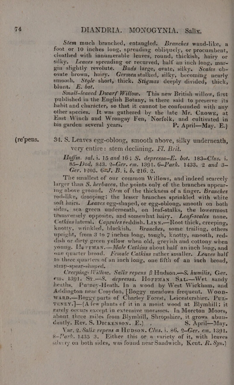 (re’pens. Stem much branched, entangled. Branches wand-like, a foot or 10 inches long, spreading obliquely, or procambent, silky. Leaves spreading or recurved, half an inch long, mar- gi shghtly revolute. Buds large, ovate, silky, Scales cb- ovate brown, hairy. Germenstalked, silky, becoming nearly smooth, Style. short, thick, Stigmas deeply divided, thick, Small-leaved Dwarf Willow. This new British willow, first published in the English Botany, is there said to preserve its habit and character, so that it cannot be confounded with any other species. It was gathered by the late Mr. Crowe, at East Winch and Wrongay Fen, Norfolk, and cultivated in his garden several years, P. April—May. E.) 34. 8. Leaves ege-oblong, smooth above, silky underneath, — very entire: stem declining. £2. Brit. Hoffm. sal.i. 15. and 16; §. depressa—E. bot. 183-—Clus. i. 85-Dod, 843. I-~Ger. em. 1391. 6—Park. 1433. 2 and 3- Ger. 1205. 62/7. B.i. b. 216. 2. The smallest of our common Willows, and indeed scarcely larger than 8. herbacea, the points only of the branches appear- ing above ground, Stem of the thickness of a finger. Branches rod-like, dreopiug; the lesser branches sprinkled with white soft hairs. Leaves egg-shaped, or egg-oblong, smooth on both sides, sea green underneath, on leaf-stalks, the lowermost transversely opposite, and somewhat hairy. Leafscales none. Catkins lateral, Capsules reddish. Linn.—Root thick, creeping, knotty, wrinkled, blackish. Branches, some trailing, others upright, from 3 to 7 inches long, tough, Knotty, smooth, red- dish or dirty green yellow when old, greyish and cottony when young. Le rrman.—Male Catkins about half aninch long, and eue quarter broad. Female Catkins rather smaller. Leaves half io three quarters of an inch long, one fifth of an inch broad, - strap-spear-shaped, Creeping: fVitlow. Salix repens 8 Hudson.—S. humilis, Ger. em. 1391. St.—S, depressa. Horrman Sat.—Wet sandy heaths, Putney-Heath. In a wood by West Wickham, and Addington near Croydon, [Boggy meadows frequent. Woop- WARD.—Bogey parts of Charley Forest, Leicestershire. Pur- TENEY.|]—(A few plants of it in a moist wood at Blymhill; it rarely occurs except in extensive morasses. In Moreton Moors, about three miles from Blymhill, Shropshire, it grows abun- cantly. Rev. S. Dickenson. E.) . S. April—May. Var, 2, Salix repens a Hupson. Clus, i. 86. 2—Ger. em. 1391. @—-Park. 1435 3. Either this or a variety of it, with leaves suvery on both sides, was found near Sandwich, Kent. R. Syn.)