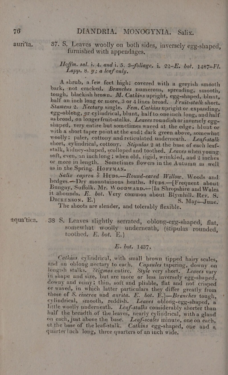 auri‘ta. aqua’tica, 87. S. Leaves woolly on both sides, inversely egg-shaped, furnished with appendages, Hofim. sal. i. 4. and i. 5. 3—foliage. i, 22-Ey bot. 1487=F 1. Lapp. 8. y; a leaf only. A shrub, a few feet high; covered with a greyish smooth bark, not cracked. Branches numerous, spreading, smooth, tough, blackish brown. M. Catkins upright, egg-shaped, blunt, half an inch long or more,.3 or 4 lines broad. . Fruit-stalk short. Stamens 2. Nectary single. Fem. Catkins upright or expanding, egg-oblong, or cylindrical, blunt, half to-oneinch long, and half as broad, on longerfruit-stalks. Leaves roundish or inversely ege- shaped, very entire but sometimes waved at the edge; blunt or with a short taper point at the end; dark green above, somewhat woolly; paler, cottony and reticulated underneath. Leaf-stalk. short, cylindrical, cottony.. Stipulas 2 at the base of each leaf. stalk, kidney-shaped, scolloped and toothed. Leaves when young. soft, even, an inch long; when old, rigid, wrinkled, and 2 inches or more in length. Sometimes flowers inthe Autumn as well as in the Spring. HorrmMan. Salix caprea 0 Hups.—Round-eared Willow. Woods and. hedges.—Dry mountainous heaths. Hups.—[ Frequent about Bungay, Suffolk. Mr. Woopwarp.—(In Shropshire and Wales it abounds. EZ. bot. Very common about Blymhill. Rey. S, Dickenson. E.) S. May—June. The shoots are slender, and tolerably flexible. 38 S. Leaves slightly serrated, oblong-egg-shaped, flat, somewhat woolly underneath, (stipulas rounded, toothed. E. bot. E.) E. bot. 1437. Catkins cylindrical, with small brown tipped hairy scales, and an oblong nectary to each, Capsules tapering, downy on Jongish stalks. Stigmas entire. Style very short. Leaves vary in shape and size, but are more or less inversely ege-shaped, downy and veiny; thin, soft and pliable, flat and not crisped or waved, in which latter particulars they differ greatly from those of S. cinerea and aurita. E. bot. E.)\—Branches tough, cylindrical, smooth, reddish. Leaves oblong-ege-shaped, a httle woolly underneath, Leaf-stalks considerably shorter than half the breadth of the leaves, nearly cylindrical, witha gland on each, just above the base. Leaf-scales minute, one on each, at the base of the leaf-stalk. Catkins ego-shaped, oue and a quarterinch long, three quarters of an inch wide. |’