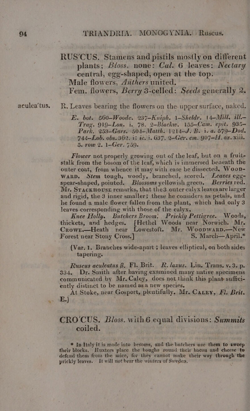 aculea’tus. RUS’CUS. Stamens and pistils mostly on different plants; &amp;loss. none: Cal. 6 leaves: Nectary central, egg-shaped, open at the top. Male flowers, Anthers united. Fem. flowers, Berry 3-celled: Seeds pal aes 2. R. Leaves bearing the flowers on the: upper surface, naked. E. bot. 560—-Woodv. 237—Kniph. 1~Sheldr. 14—-AGill, ill.— Trag. 919—Lon. 1. 78. 2-Blackw. 155—Cam. epit. 935- Park. 253-—Gars. 504—Matth. 1214-4. B. lea. 579-Dod. 744—Lob. obs. 362: 1; ic. i. 637. 2-Ger. em. 907-41. ox. xill. 5. row 2. 1-Ger. 759. Flower not properly growing out of the leaf, but on a fruit- stalk from the bosom of the leaf, which is immersed beneath the outer coat, from whence it may with ease be dissected. Woop- WARD. Stem tough, woody, branched, scored. Leaves egg- spear-shaped, pointed. Blossoms yellowish green. Berries red. Mr. Srackhouse remarks, that the3 outer calyx leaves are larger and rigid, the 3 inner smaller; these he considers as petals, end he found a male flower fallen from the plant, which had only 3 leaves-corresponding with those of the calyx. Knee Holly. Butchers Broom: Prickly Pettigree. Woods, thickets, and hedges. [Hethel Woods near Norwich. Mr. Crowr.—Heath near Lowestoft. Mr. Woopwarp.—New Forest near Stony Cross. ] S. March—April.* (Var. 1. Branches wide-apart ; leaves elliptical, on both sides tapering. Ruscus aculeatus 8. Fl. Bit. R.laxus. Lin. Trans, v. 3. p. $34, Dr. Smith after having examined many uative specimens communicated by Mr. Caley, does not think this plant suffici- ently distinct to be named asa new species. At Stoke, near Gosport, plentifully. Mr. Cary, Fi. Brit. E.) CRO'CUS. Biloss. with6 equal divisions: a cenels coiled. * In Italy it is made into besoms, and the butchers use them to sweep their blocks. Huxters place the boughs round their bacon and cheese te defend them from the mice, for they” cannot make their way through the prickly leaves. It will not bear the winters of Sweden. \