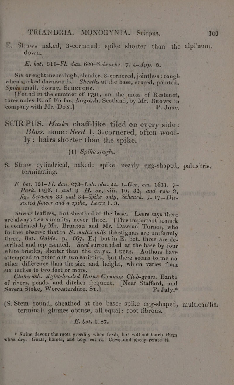 down, E. bot. 311-Fl. dan. 620-Scheuchz. 7. 4—App. 8. Six or eight inches high, slender, 3-cornered, jointless ; rough when stroked downwards. Sheaths at the base, scored, pointed, Spike small, downy. ScHEUCHZ. [found in the summer of 1791, on the moss of Restenet, three miles E. of Forfar, Angussh. Scotland, by Mr. Brown in “company with Mr. Don.] P. June. SCIR'PUS. Husks chaff-like tiled on every side: Bloss. none: Seed 1, 3-cornered, often wool- ly: hairs shorter than the spike. (1) Spzke single. S. Straw cylindrical, naked: spike nearly ege-shaped, terminating. FE. bot. 131-Fl. dan. 273—Lob. obs. 44. 1-Ger. em. 1631. 7 Park. 1196. 1. and 2—H. ox, viii. 10. 32, and row 3, fig. between 33 and 34—Spike only, Scheuch. 7. 17.-Dis- sected flower and a sptke, Leers 1. 3. Straws leafless, but sheathed at the base. Leers says there are always two summits, never three. (This important remark is confirmed by Mr. Brunton and Mr. Dawson Turner, who further observe thatin §. multicaulis the stigmas are uniformly three. Bot. Guide. p. 667. E.} but in E. bot. three are de- scribed and represented, Seed surrounded at the base by four white bristles, shorter than the calyx. Lerrs. Authors have attempted to point out two varieties, but there seems to me no other difference than the size and height, which varies from six inches to two feet or more. — Club-rush. Aglet-headed Rush*# Common Club-grass. Banks of rivers, ponds, and ditches frequent. [Near Stafford, and Severn Stoke, Worcestershire. Sr.] P. July.* (S. Stem round, sheathed at the base: spike egg-shaped, terminal: glumes obtuse, all equal: root fibrous. E. bot. 1187. * Swine devour the roots greedily when fresh, but will not touch them when dry. Goats, horses, and hogs eat it, Cows and sheep refuse it, palus’tris. multicau’lis: