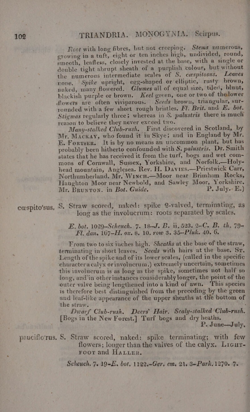 coespito’sus, TRIANDRIA. MONOGYNIA. Scirpus. Reot with long fibres, but not creeping. Stems numerous, growing in a tuft, eight or ten inches igh, undivided, round, smooth, leafless, closely invested at the base, with a single or double tight abrupt sheath of a purplish colour, but without the numerous intermediate scales of S. ceespitosus. Leaves none, ‘Spike upright, egg-shaped or elliptic, rusty brown, naked, many flowered. Glumes all of equal size, tiled, blunt, blackish purple or brown. Keel green, one or two of thelower rounded with a few short rough bristles. Fl. Brit. and E. bot. Stiymas regularly three; whereas in S. palustris there is much reason to believe they never exceed two. Many-stalked Club-rush. First discovered in Scotland, by Mr. Mackay, who found it in Skye; and in England by Mr, E. Forrsrer. It is by no means an uncommon plant, but has probably been hitherto confounded with S. palustris. Dr. Smith states that he has received it from the turf, bogs and wet com-~ mons of Cornwall, Sussex, Yorkshire, and Norfolk.—Holy- head mountain, Anglesea. Rev. H. Davres.—Priestwick Carr, Northumberland. Mr. Wincu.—Moor near Brimham Rocks, Haughton Moor near Newbold, and Sawley Moor, Yorkshire. — Mr. Brun'ron. in Bot. Guide. P, July.- E.) S. Straw scored, naked: spike 2-valved, terminating, as long as the involucrum: roots separated by scales. E. bot. 1029-—Scheuch. 7. 18-J. B. 11.523. 2-C. B. th. 79- Fl. dan, 167—H. ox. 8. 10. row 3. 35—Pluk. 40. 6. ' From two to six inches high. Sheaths at the base of the straw, terminating in short leaves. Seeds with hairs at the base, Sr, Length of the spike and of its lower scales, (called in the specific character a calyx orinvolucrum,) extremely uncertain, Sometimes this involucrum is as long as the spike, sometimes not half so jong, and ‘in other instances considerably longer, the point of the outer valve being lengthened into a kind of awn. This species is therefore best distinguished from the preceding by the green and leaf-like appearance of the upper sheaths at the bottom of the straw. Dwarf Club-rush. Deers’ Hair. Scaly-stalked ‘Club-rush. [Bogs in the New Forest.] Turf bogs and dry heaths. | P, June—July, flowers; longer than the valves of the calyx. Licut- Foor and Haier. Scheuch, 7. 19&lt;J0. bot. 1122.—Ger, em, 21. 3ePark, 1270. 7.