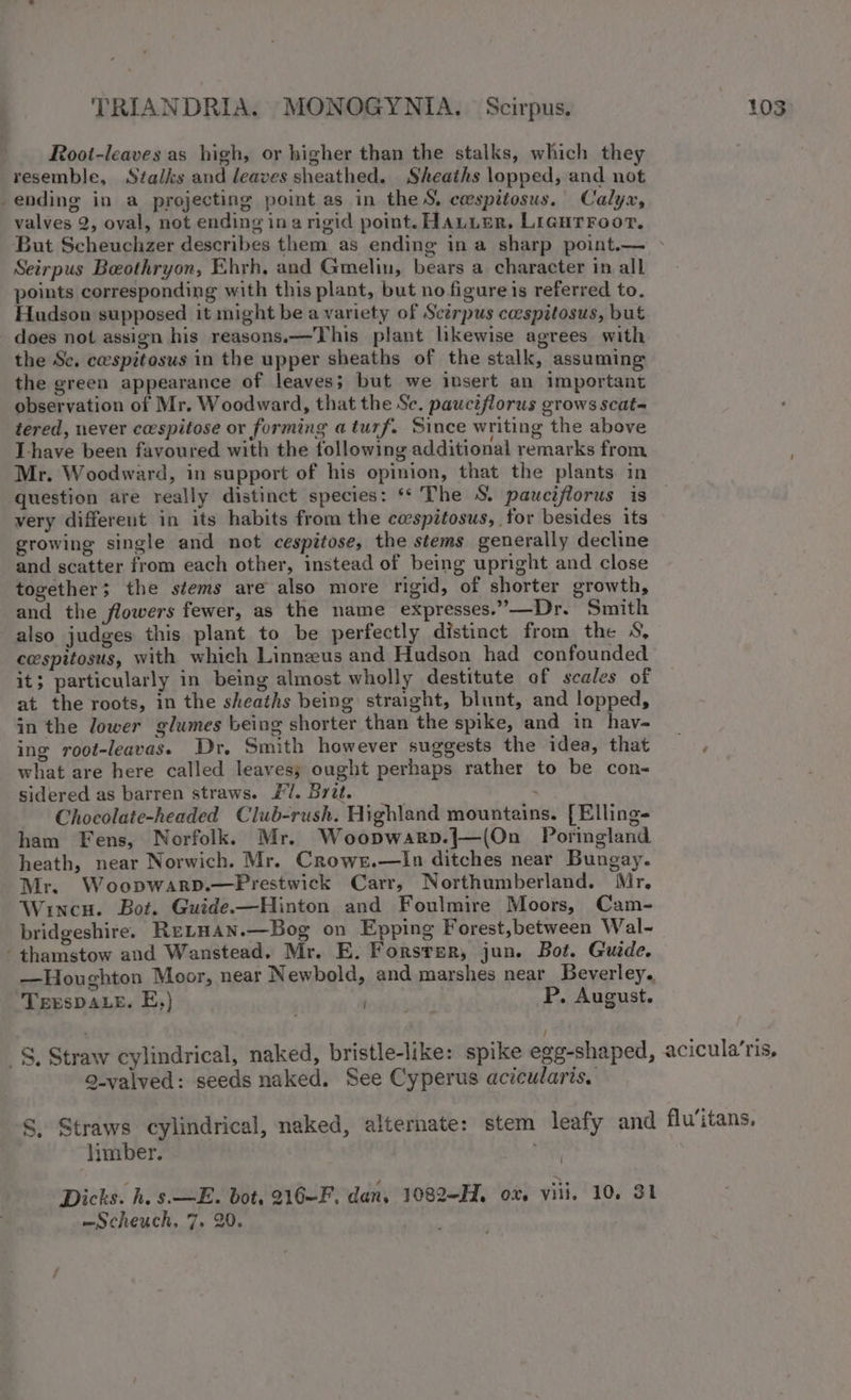 Root-leaves as high, or higher than the stalks, which they resemble, Stalks and leaves sheathed. Sheaths lopped, and not -ending in a projecting point as in the S, cespitosus. Calyx, valves 2, oval, not ending ina rigid point. HatLer, Ligurroor. Seirpus Beothryon, Ehrh, and Gmelin, bears a character in all points corresponding with this plant, but no figure is referred to. Hudson supposed it might be a variety of Sctrpus caespitosus, but does not assign his reasons.—This plant likewise agrees with the Sc. cespitosus in the upper sheaths of the stalk, assuming the green appearance of leaves; but we insert an important observation of Mr. Woodward, that the Sc. pauctflorus grows scat= tered, never ceespitose or forming a turf. Since writing the above I-have been favoured with the following additional remarks from Mr. Woodward, in support of his opinion, that the plants in question are really distinct species: ‘The S. pauciflorus is very different in its habits from the caspitosus, for besides its growing single and not cespitose, the stems generally decline and scatter from each other, instead of being upright and close together; the stems are also more rigid, of shorter growth, and the flowers fewer, as the name expresses.”—Dr. Smith also judges this plant to be perfectly distinct from the 4, ceespitosus, with which Linnzeus and Hudson had confounded it; particularly in being almost wholly destitute of scales of at the roots, in the sheaths being straight, blunt, and lopped, in the lower glumes being shorter than the spike, and in hav- ing root-leavas. Dr. Smith however suggests the idea, that what are here called leaves; ought perhaps rather to be con- sidered as barren straws. #/. Brit. : Chocolate-headed Club-rush. Highland mountains. [Elling- ham Fens, Norfolk. Mr. Woopwarp.{—(On Poringland heath, near Norwich. Mr. Crows.—lIn ditches near Bungay. Mr. Woopwarp.—Prestwick Carr, Northumberland. Mr. Wincu. Bot. Guide.—Hinton and Foulmire Moors, Cam- bridgeshire. RELHAN.—Bog on Epping Forest,between Wal- -thamstow and Wanstead. Mr. E. Forster, jun. Bot. Guide. TEESDALE. E,) . P. August. Q-vaived: seeds naked. See Cyperus acicularis. limber. Dicks. h. s.—E. bot, 216-F, dan, 1082-H, ox. vill, 10, 31