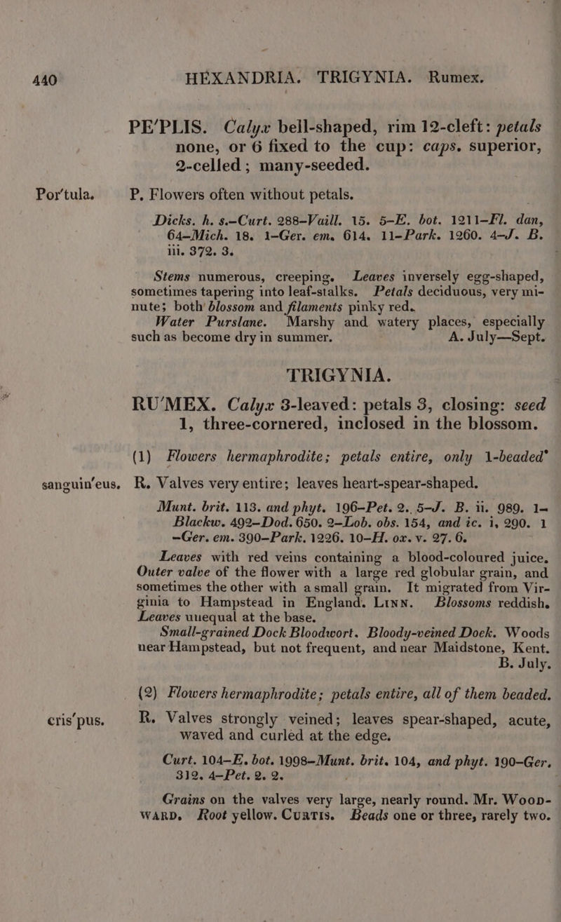 Por'tula. sanguin’eus, cris’ pus. HEXANDRIA. TRIGYNIA. Rumex. PE’PLIS. Calyx bell-shaped, rim 12-cleft: petals none, or 6 fixed to the cup: caps. superior, 2-celled; many-seeded. P, Flowers often without petals. Dicks. h. s.—Curt. 288-Vaill. 15. 5-E. bot. 1211-Fl. dan, 64—Mich. 18. 1-Ger. em. 614. 11-Park. 1260. 4-J. B. ill. 372. 3. Stems numerous, creeping. Leaves inversely egg-shaped, sometimes tapering into leaf-stalks. Petals deciduous, very mi- nute; both’ blossom and filaments pinky red. Water Purslane. Marshy and watery places, especially such as become dry in summer. A. July—Sept. TRIGYNIA. RU’MEX. Calyx 3-leaved: petals 3, closing: seed 1, three-cornered, inclosed in the blossom. (1) Flowers hermaphrodite; petals entire, only 1-beaded* R. Valves very entire; leaves heart-spear-shaped. Munt. brit. 113. and phyt. 196—Pet. 2. 5-J. B. ii. 989. 1— Blackw. 492—Dod. 650. 2—Lob. obs. 154, and ic. 1, 290. 1 —Ger. em. 390—Park. 1226. 10-H. ox. v. 27. 6. Leaves with red veins containing a blood-coloured juice. Outer valve of the flower with a large red globular grain, and sometimes the other with asmall grain. It migrated from Vir- ginia to Hampstead in England. Linn. Blossoms reddish. Leaves wuequal at the base. Small-grained Dock Bloodwort. Bloody-veined Doek. Woods near Hampstead, but not frequent, and near Maidstone, Kent. B. July. (2) Flowers hermaphrodite; petals entire, all of them beaded. R. Valves strongly veined; leaves spear-shaped, acute, waved and curled at the edge. Curt. 104—E. bot. 1998—Munt. brit. 104, and phyt. 190-Ger. 312. 4—Pet. 2. 2. . Grains on the valves very large, nearly round. Mr. Woop- WARD. Root yellow. Curtis. Beads one or three, rarely two.