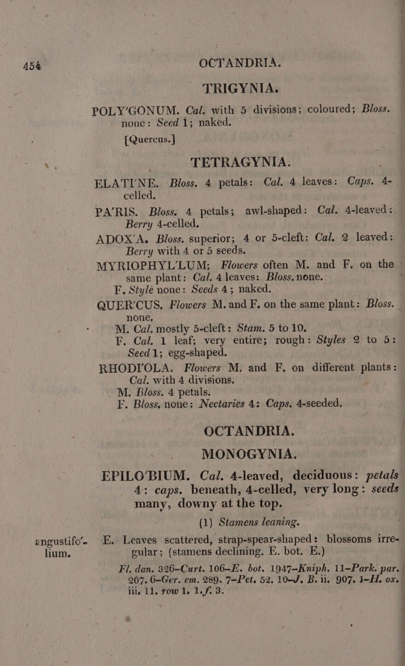 454 3 OCTANDRIA. TRIGYNIA. POLY’GONUM. Cal. with 5 divisions; coloured; Bloss. none: Seed 1; naked. [Quercus, | 43 : TETRAGYNIA. | ELATINE, Bloss. 4 petals: Cal. 4 leaves: Caps. 4- celled, PA‘RIS. Bloss. 4 petals; sails sien Cal, 4-leaved: Berry 4-celled. ADOX’A. Bloss. superior; 4 or 5-cleft: Cal. 2 leaved: Berry with 4 or 5 seeds. MYRIOPHYL’LUM; Flowers often M. and F. on the © same plant: Cal, 4 leaves: Bloss, none. F. Stylé none: Seeds 4; naked. QUER’CUS, Flowers M. and F. on the same plant: Boss. | none, M. Cal. mostly 5-cleft: Stam. 5 to 10. F.. Cal. 1 leaf; very entire; rough: Styles 2 to 5: Seed 1; egg-shaped. RHODI'OLA. Flowers M. and F, on different ae Cal. with 4 divisions, M. Bloss. 4 petals. F. Bloss, none: Nectaries 4; Caps. 4-seeded. OCTANDRIA. MONOGYNIA. EPILO’BIUM. Cal. 4-leaved, deciduous: petals 4; caps. beneath, 4- celled, very long: seeds many, downy at the top. (1) Stamens leaning. angustifo’- -E. Leaves scattered, strap-spear-shaped: blossoms irre- lium. cular; (stamens declining. E. bot. E.) Fi, dan. 326-Curt. 106-E. bot. 1947—Kniph. 11-Park. par. 267. 6-Ger. em. 289. 7-Pet. 52, 10—J. B. ii. 907, JL. ove