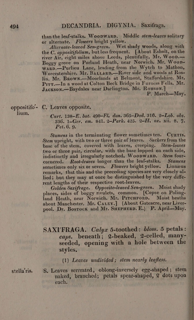 oppositifo - jium, stella ris. than the leaf-stalks. Woopwarp. Middle stem-leaves solitary or alternate. Flowers bright yellow. Aliernate-leaved Sen-green. Wet shady woods, along with | the C. oppositifolium, but less frequent. [About Esholt, onthe — river Air, eight miles above Leeds, plentifully. Mr. Woop.— Boggy grove on Porland Heath, near Norwich. Mr. Woon- WwArRD.—Purlieu Lane, leading from the Wytch to Mathon, Worcestershire. Mr. BaLL4srD.—River side and woods at Ros- lin. Mr. Brown.—Moorlands at Belmont, Staffordshire. Mr. Pirr.—In a wood at Colton Beck Bridge in Furness Fells. Mr, Jackson.—Baydales near Darlington. Mr. Rosson. ] P. March—May. C. Leaves opposite. Curt. 138-E. bot. 490-Fl. dan. 365—Dod. 316. 2—Lob. obs. 336. 1-Ger. em. 841. 2—Park. 425. 2-H. ox. xi. 8. 7. Feit, 0. ory Stamens in the terminating flower sometimesten. Curris. Stem upright, with two or three pair.of leaves. Suckers from the base of the stem, covered with leaves, creeping. Stem-leaves two or three pair, circular, with the base lopped on each side, indistinctly and irregularly notched, Woopwarp. Stem four- cornered. Root-leaves longer than the leaf-stalks. Stamens sometimes only six or seven. Flowers bright yellow. Linnzus — remarks, that this andthe preceding species are very closely al- lied; but they may at once be distinguished by the very diffe- rent lengths of their respective root-leaves. Golden Saxifrage. Opposite-leaved Sen-green. Moist shady _ places, sides of boggy rivulets, commou, [Copse on Poling- — land Heath, near Norwich. Mr. Pircurorp. Moist heaths about Manchester. Mr. Caurey.] (About Gateacre, near Liver- pool. Dr. Bostock and Mr. SHepuerp. E.) P. April—May. SAXI/FRAGA. Calyx 5-toothed: bloss. 5 petals: — caps. beneath; 2-beaked, 2-celled, many- — seeded, opening with a hole between the styles, | (1) Leaves undivided; stem nearly leafless. S. Leaves serrrated, oblong-inversely egg-shaped ; stem naked, branched; petals spear-shaped, 2 dots upon each.