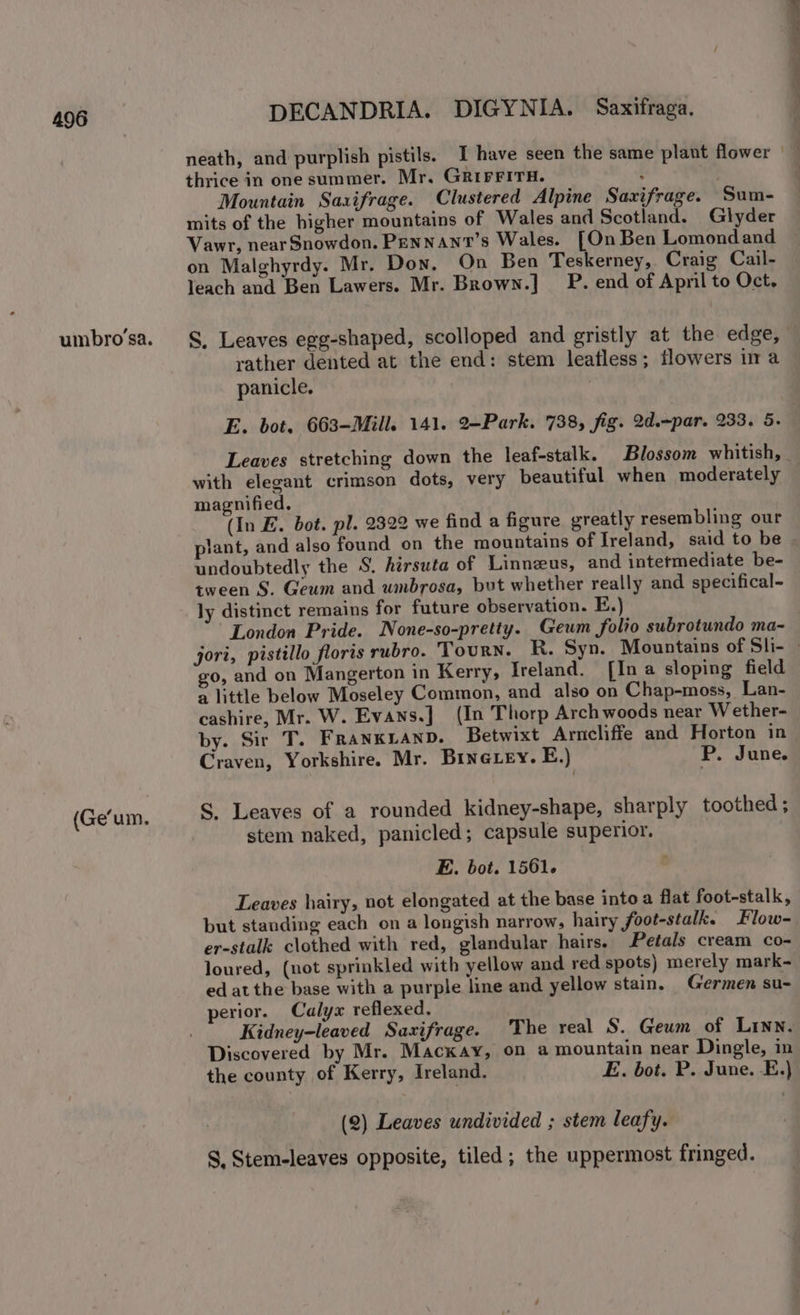 umbro’sa. (Ge’um. DECANDRIA. DIGYNIA. Saxifraga. thrice in one summer. Mr. GRIFFITH. t Mountain Saxifrage. Clustered Alpine Saxifrage. Sum- mits of the higher mountains of Wales and Scotland. Glyder Vawr, near Snowdon. Pennant’s Wales. [On Ben Lomondand on Malghyrdy. Mr. Don. On Ben Teskerney, Craig Cail- leach and Ben Lawers. Mr. Brown.] P. end of Apmil to Oct, S, Leaves egg-shaped, scolloped and gristly at the edge, rather dented at the end: stem leafless; flowers ia panicle. E. bot. 663-Mill. 141. 2-Park. 738, fig. 2d.-par. 233. 5. with elegant crimson dots, very beautiful when moderately magnified. (In E. bot. pl. 2322 we find a figure greatly resembling our plant, and also found on the mountains of Ireland, said to be undoubtedly the S. hirsuta of Linnzus, and intermediate be- tween S. Geum and umbrosa, but whether really and specifical- ly distinct remains for future observation. E.) London Pride. None-so-pretty. Geum folio subrotundo ma- go, and on Mangerton in Kerry, Ireland. [Ina sloping field a little below Moseley Common, and also on Chap-moss, Lan- cashire, Mr. W. Evans.] (In Thorp Arch woods near Wether- by. Sir T. FRANKLAND. Betwixt Arncliffe and Horton in Craven, Yorkshire. Mr. Brine ey. E.) P. June. S, Leaves of a rounded kidney-shape, sharply toothed; stem naked, panicled; capsule superior. E. bot. 1561. Leaves hairy, not elongated at the base into a flat foot-stalk, but standing each on a longish narrow, hairy foot-stalk. Flow- er-stalk clothed with red, glandular hairs. Petals cream co- loured, (not sprinkled with yellow and red spots) merely mark- ed at the base with a purple line and yellow stain. Germen su- perior. Calyx reflexed. Kidney-leaved Saxifrage. The real S. Geum of Linn. Discovered by Mr. Mackay, on a mountain near Dingle, in the county of Kerry, Ireland. E. bot. P. June. E.} (2) Leaves undivided ; stem leafy. S. Stem-leaves opposite, tiled; the uppermost fringed.