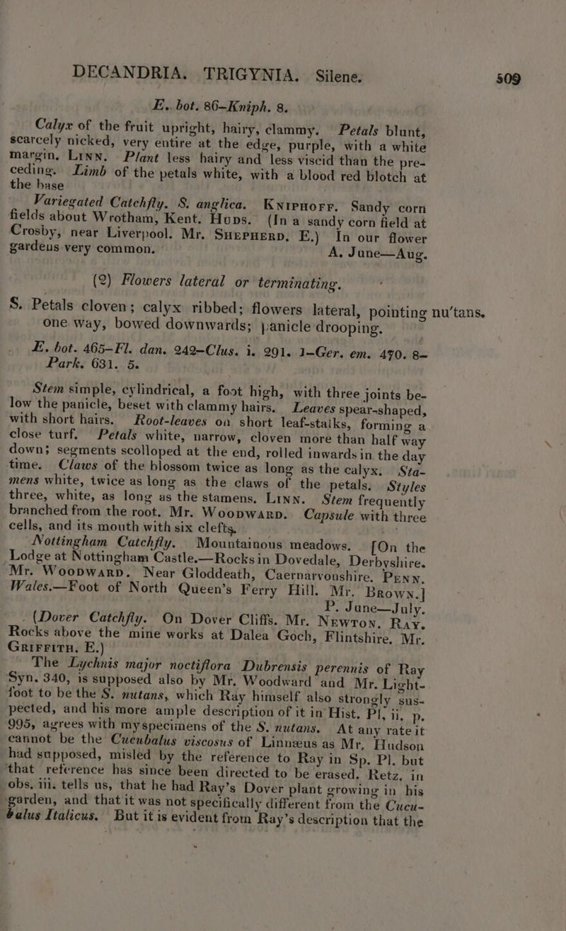 E.. bot. 86—Kniph. 8. Calyx of the fruit upright, hairy, clammy. Petals blunt, scarcely nicked, very entire at the edge, purple, with a white margin, Linn. Plant less hairy and less viscid than the pre- ceding. Limb of the petals white, with a blood red blotch at the base Variegated Catehfly. 8. anglica. Kwyiruorr. Sandy corn fields about Wrotham, Kent. Huns. (In a sandy corn field at Crosby, near Liverpool. Mr. SHEPHERD. FE.) In our flower gardeus very common. A. June—Aug. (2) Flowers lateral or terminating. one way, bowed downwards; janicle drooping. E.. bot. 465-Fl. dan. 242—Clus. i. 291. 1—Ger. em. 470. 8= Stem simple, cylindrical, a foot high, with three joints be- low the panicle, beset with clammy hairs. Leaves spear-shaped, with short hairs. Root-leaves on short leaf-stalks, forming a close turf. Petals white, narrow, cloven more than half way down}; segments scolloped at the end, rolled inwards in the day time. Claws of the blossom twice as long as the calyx. Sta- mens white, twice as long as the claws of the petals. Styles three, white, as long as the stamens. Linn. Stem frequently branched from the root. Mr. Woopwarp. Capsule with three cells, and its mouth with six clefts, . Nottingham Catchfly. Mountainous meadows. [On the Lodge at Nottingham Castle.—Rocks in Dovedale, Derbyshire. “Mr. Woopwarp. Near Gloddeath, Caernarvonshire. Pgnn. Wales.—Foot of North Queen’s Ferry Hill. Mr. Brown. | P. June—July. - (Dover Catchfly. On Dover Cliffs. Mr. Newton, Ray. Rocks above the mine works at Dalea Goch, Flintshire. Mr. GriFFitn. E.) The Lychnis major noctiflora Dubrensis perennis of Ray Syn. 340, is supposed also by Mr. Woodward and Mr. Light- foot to be the §. nutans, which Ray himself also strongly sus- pected, and his more ample description of it in Hist. Pl, ij, p. 995, agrees with myspecimens of the §. nutans. At any rate it cannot be the Cueubalus viscosus of Linuzeus as Mr. Hudson had supposed, misled by the reference to Ray in Sp. Pl. but that reference has since been directed to be erased, Retz, in obs, iii. tells us, that he had Ray’s Dover plant growing in his garden, and that it was not specifically different from the Cucu- balus Italicus. But it is evident from Ray’s description that the » 509