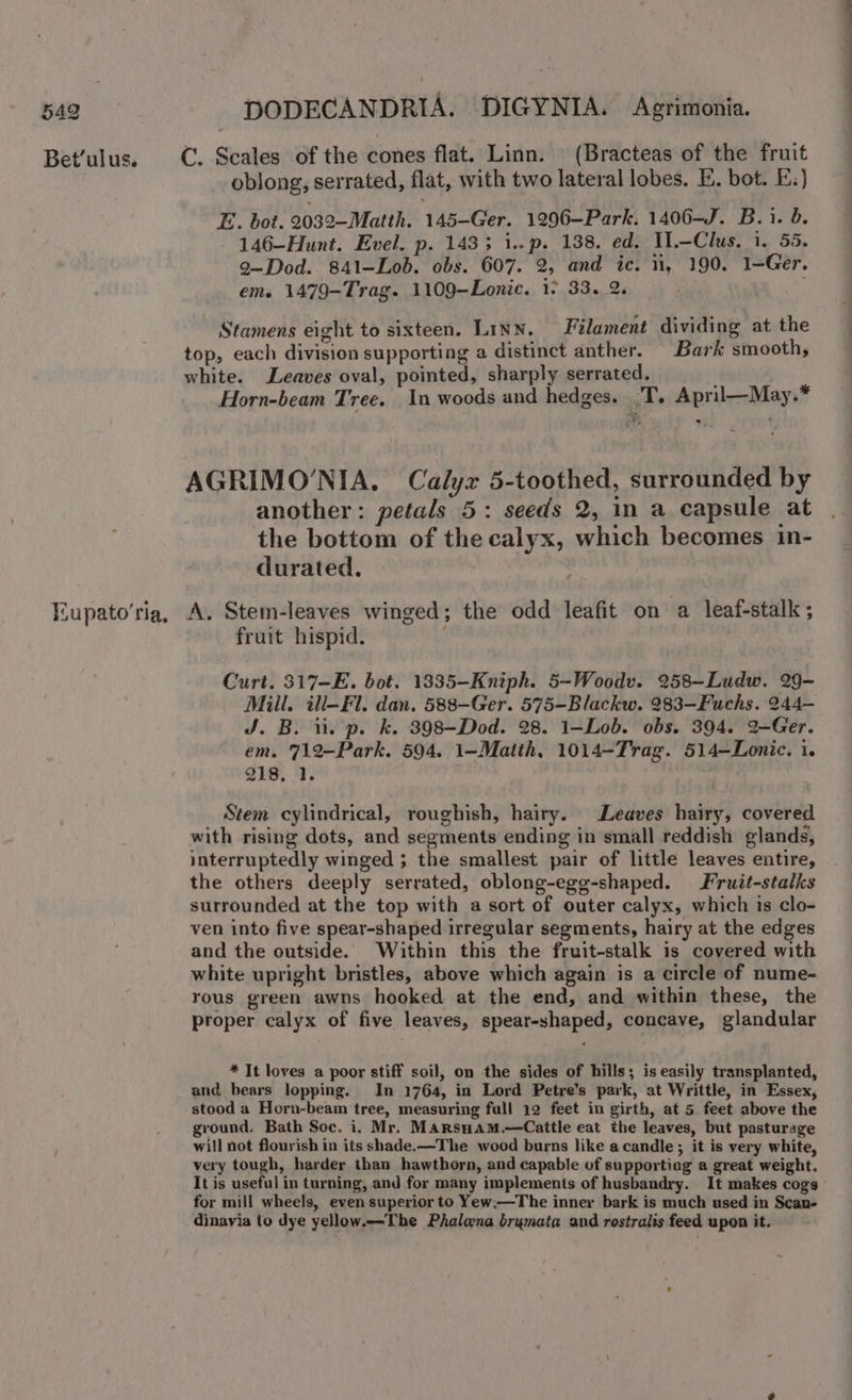 Bet’ulus. Eupato'ria, DODECANDRIA. DIGYNIA. &lt;Agrimonia. C. Scales of the cones flat. Linn. (Bracteas of the fruit oblong, serrated, flat, with two lateral lobes. E. bot. E:)} E. bot. 2032—Matth. 145-Ger. 1296—Park. 1406-J. B. Toe. 146-Hunt. Evel. p. 1433 i..p. 138. ed. W1—Clus. 1. 55. 9—Dod. 841—Lob. obs. 607. 2, and ic. 1, 190. 1=Ger. em. 1479-Trag. 1109—Lonic. 1° 33. 2. Stamens eight to sixteen. Linn. Filament dividing at the top, each division supporting a distinct anther. Bark smooths white. Leaves oval, pointed, sharply serrated, Horn-beam Tree. In woods and hedges. .T. April—May.* AGRIMO’NIA, Calyr 5-toothed, surrounded by another: petals 5: seeds 2, in a capsule at the bottom of the calyx, which becomes in- durated., A. Stem-leaves winged; the odd leafit on a leaf-stalk; fruit hispid. Curt. 317-E. bot. 1835-Kniph. 5-Woodv. 258-Ludw. 29- Mill. ill-Fl. dan. 588—Ger. 575-Blackw. 283-—Fuchs. 244— J. B. ii. p. k. 398-Dod. 28. 1-Lob. obs. 394. 2—Ger. em. 712-Park. 594. 1-Matth, 1014-Trag. 514-Lonic. i. 218, 1. Stem cylindrical, roughish, hairy. Leaves hairy, covered with rising dots, and segments ending in small reddish glands, interruptedly winged ; the smallest pair of little leaves entire, the others deeply serrated, oblong-egg-shaped. Fruit-stalks surrounded at the top with a sort of outer calyx, which is clo- ven into five spear-shaped irregular segments, hairy at the edges and the outside. Within this the fruit-stalk is covered with white upright bristles, above which again is a circle of nume- rous green awns hooked at the end, and within these, the proper calyx of five leaves, spear-shaped, concave, glandular * It loves a poor stiff soil, on the sides of hills; is easily transplanted, and bears lopping. In 1764, in Lord Petre’s park, at Writtle, in Essex, stood a Horn-beam tree, measuring full 12 feet in girth, at 5 feet above the ground. Bath Soc. i. Mr. Marsnam.—Cattle eat the leaves, but pasturage will not flourish in its shade.—The wood burns like a candle; it is very white, very tough, harder than hawthorn, and capable of supporting a great weight. It is useful in turning, and for many implements of husbandry. It makes cogs for mill wheels, even superior to Yew;—The inner bark is much used in Scan- dinayia to dye yellow.-The Phalena brymata and rostralis feed upon it.