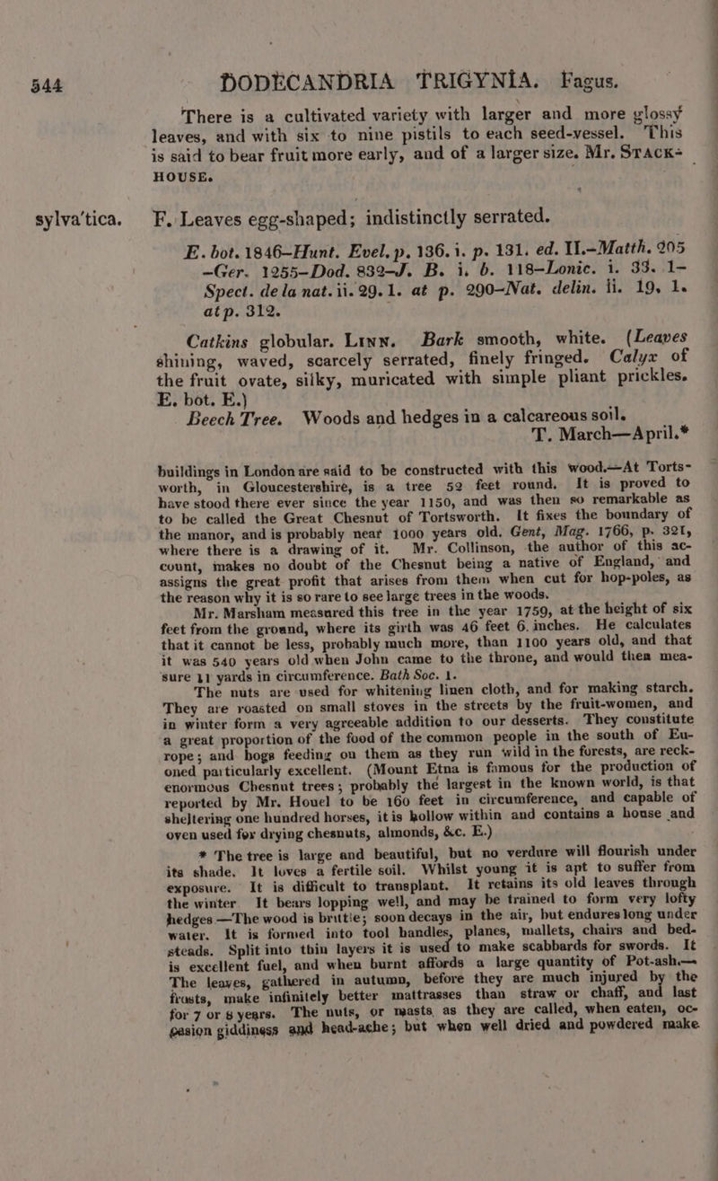 sylva'tica. DODECANDRIA TRIGYNIA. Fagus. There is a cultivated variety with larger and more glossy leaves, and with six to nine pistils to each seed-vessel. This is said to bear fruit more early, and of a larger size. Mr. Stack+ HOUSE. ; oe * F. Leaves egg-shaped : indistinctly serrated. E. bot. 1846-Hunt. Evel. p. 136.1. p. 131. ed. U.=Matth. 905 —Ger. 1255-Dod. 839-J. B. i, 6. 118-Lonic. i. 33. 1- Spect. dela nat. ii. 29.1. at p. 290—Nat. &lt;clelin. ii. 19, 1. at p. 312. Catkins globular. Linn. Bark smooth, white. (Leaves shining, waved, scarcely serrated, finely fringed. Calyx of the fruit ovate, silky, muricated with simple pliant prickles. E. bot. E.) Beech Tree. Woods and hedges in a calcareous soil. T. March—April.* buildings in London are said to be constructed with this wood.—At Torts- worth, in Gloucestershire, is a tree 52 feet round, It is proved to have stood there ever since the year 1150, and was then so remarkable as to be called the Great Chesnut of Tortsworth. It fixes the boundary of the manor, and is probably near 1000 years old, Gent, Mag. 1766, p. 32, where there is a drawing of it. Mr. Collinson, the author of this ac- count, makes no doubt of the Chesnut being a native of England, and assigns the great profit that arises from them when cut for hop-poles, as the reason why it is so rare to see large trees in the woods. Mr. Marsham measured this tree in the year 1759, at the height of six feet from the ground, where its girth was 46 feet 6.imches. He calculates that it cannot be less, probably much more, than 1100 years old, and that it was 540 years old when John came to the throne, and would thea mea- sure 31 yards in circumference. Bath Soc. 1. The nuts are used for whitening linen cloth, and for making starch. They are roasted on small stoves in the streets by the fruit-women, and in winter form a very agreeable addition to our desserts. They constitute a great proportion of the food of the common people in the south of Eu- rope; and. bogs feeding on them as they run wild in the forests, are reck- oned particularly excellent. (Mount Etna is famous for the production of enormous Chesnut trees; probably the largest in the known world, is that reported by Mr. Houel to be 160 feet in circumference, and capable of shejtering one hundred horses, itis hollow within and contains a house and oven used fox drying chesnuts, almonds, &amp;c. E.) * The tree is large and beautiful, but no verdure will flourish under its shade, It loves a fertile soil. Whilst young it is apt to suffer from exposure. It is difficult to transplant. It retains its old leaves through the winter. It bears lopping we!l, and may be trained to form very lofty hedges —The wood is brittie; soon decays in the air, but endureslong under water, It is formed into tool handles, planes, mallets, chairs and bed- steads. Split into thin layers it is used to make scabbards for swords. It is excellent fuel, and when burnt affords a large quantity of Pot-ash— The leaves, gathered in autumn, before they are much injured by the frasts, make infinitely better mattrasses than straw or chaff, and last for 7 or syears. The nuts, or masts, as they are called, when eaten, oc- gasion giddiness and head-ache; but when well dried and powdered make