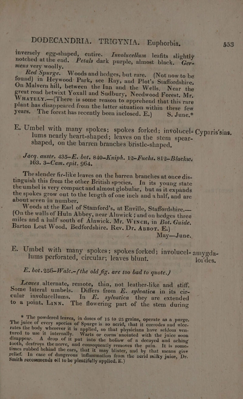 notched atthe end. Petals dark purple, almost black. Gers mens very woolly, Red Spurge. Woods and hedges, but rare. (Not now to be found) in Heywood: Park, see Ray, and Plot’s Staffordshire, On Malvern hill, between the Inn and the Wells. Near the great road betwixt Yoxall and Sudbury, Needwood Forest. Mr. WuateLy.—(There is some reason to apprehend that this rare plant has disappeared from the latter situation within these few years. The forest has recently been inclosed. E.) S. June.* E. Umbel with many spokes; spokes forked; involucel« _ lums nearly heart-shaped; leaves on the stem spear- shaped, on the barren branches bristle-shaped. Jacq. ausir. 435—E. bot. 840-—Kniph. 12—Fuchs. 812—Blackw, 163. 3-Cam. epit. 964, The slender fir-like leaves on the barren branches at once dis- tinguish this from the other British species. In its young state the umbel is very compact and almost globular, but as it expands the spokes grow out to the length of one inch and a half, and are about seven in number. Woods at the Earl of Stamford’s, at Enville, Staffordshire. — (On the walls of Huln Abbey, near Alnwick and on hedges three miles and a half south of Alnwick. Mr. Wincu, in Bot. Guide. Barton Leat Wood, Bedfordshire. Rev. Dr. Apnor. E.) y May—June. E. Umbel with many spokes; spokes forked; involucel- lums perforated, circular; leaves blunt. E. bot.256-Walc.-(the old fig. are too bad to quote.) Leaves alternate, remote, thin, not leather-like and _ stiff, Some lateral umbels. Differs from E. sylvatica in its cir- cular involucellums. In E. sylvatica they are extended to a point. Linn. The flowering part of the stem during * The powdered leaves, in doses of 15 to 95 grains, operate as a_purge. The juice of every species of Spurge is so acrid, that it corrodes and ulce- rates the body wherever it is applied, so that physicians have seldom ven- tured to use it internally. Warts or corns‘anointed with the juice svon disappear. A drop of it put into the holluw of a decayed and aching tooth, destroys the nerve, and consequently removes the pain. It is some- times rubbed behind the ears, that it may blister, and by that means give relief. In case of dangerous inflammation from the acrid milky juice, Dr. Smith recommends oil to be plentifully applied, E.) ,