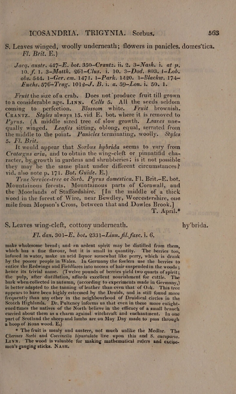 Fl. Brit. FE.) Jacq. ausir. 447-E. bot. 350-Crantz. 1. 2. 3-Nash. 1. at p. 10. f. 1. 3-Matth. 261-Clus. i. 10. 3-—Dod, 803. 1-Lob. obs. 544. 1-Ger. em. 1471. 1—Park. 1420. 1-—Blackw. 174- Fuchs. 576-Trag. 1012-J. B. 1. a. 59-Lon. i. 50. 1. Fruit the size ofa crab. Does not produce fruit till grown toa considerable age. Linn. Cells 5. All the seeds seldom coming to perfection. Rlossom white. Fruit brownish. Crantz. Styles always 15. vid E. bot. where it is removed to Pyrus. (A middle sized tree of slow growth. Leaves une- qually winged. Leafits sitting, oblong, equal, serrated from 5. Fl. Brit. It would appear that Sorbus hybrida seems to vary from Crategus aria, and to obtain the wing-cleft or pinnatifid cha- racter, by.growth in gardens and shrubberies; 1s it not possible they may be the same plant under different circumstances ? vid. also note p. 171. Bot. Guede. E.) True Service-tree or Sorb. Pyrus domestica, F\. Brit.-E. bot. Mountainous forests, Mountainous parts of Cornwall, and the Moorlands of Staffordshire. [In the middle of a thick wood in the forest of Wire, near Bewdley, Worcestershire, one mile from Mopson’s Cross, between that and Dowles Brook.] . T. April.* S. Leaves wing-cleft, cottony underneath. Fl. dan. 301-E, bot. 2331—Linn. fil. fase. i. 6. make wholesome bread; and en ardent spirit may be distilled from them, which has a fine flavour, but it is small in quantity. The berries too, infused in water, make an acid liquor somewhat like perry, which is drank hy the poorer people in Wales. In Germany the fowlers use the berries to entice the Redwings and Fieldfares into nooses of hair suspended in the woods ; hence its trivial name. (Twelve pounds of berries yield two quarts of spirit; the pulp, after distillation, affords excellent nourishment for cattle. The bark when collected in autumn, (according to experiments made in Germany,) is better adapted to the tanning of leather than even that of Oak. This tree appears to have been highly esteemed by the Druids, and is still found more frequently than any other in the neighbourhood of Druidical circles in the Scotch Highlands, Dr. Pulteney informs us that even in these more enlight- ened times the natives of the North believe in the efficacy of a small branch carried about them as a charm against witchcraft and enchantment. In one part of Scotland the sheep and lambs are on May Day made to pass through a hoop of Koan wood. E.) * The fruit is mealy and austere, not much unlike the Medlar. The Chermes Sorbt and Coccinella bipustulata live upon this and S. aucuparia. Linn. The wood is valuable for making mathematical rulers and excige- men’s gauging sticks. NAsuH. .