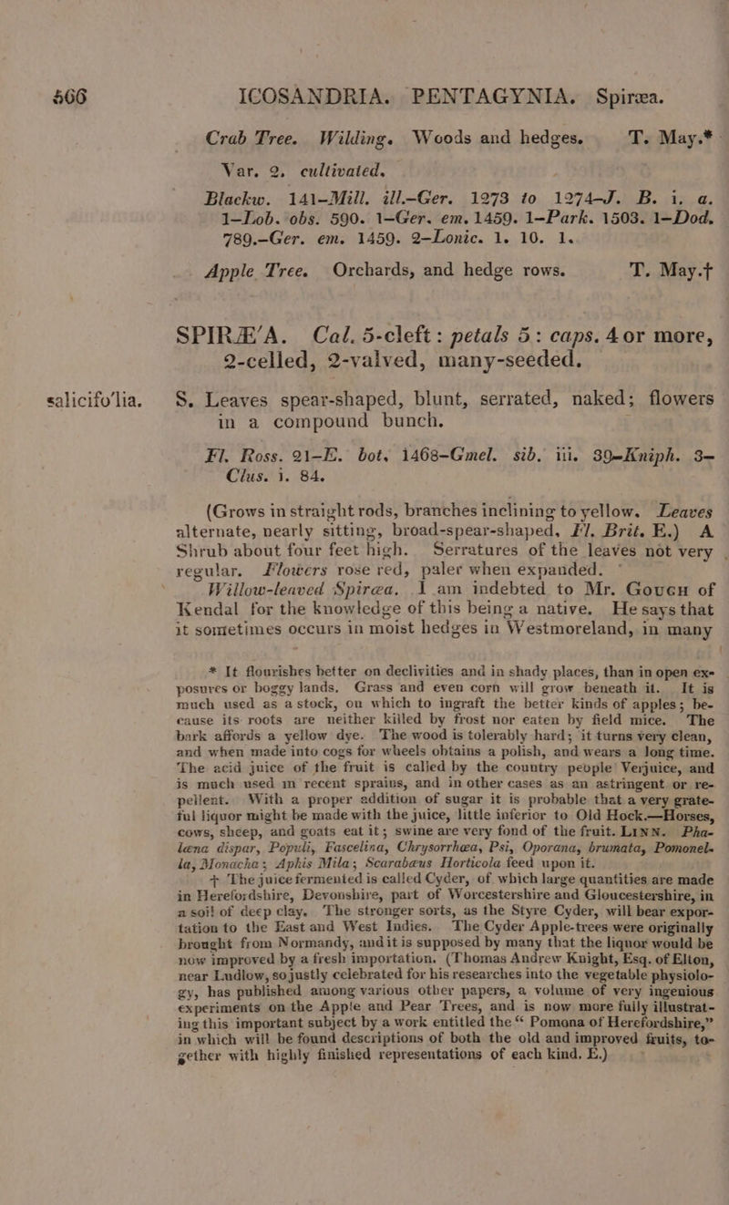 salicifo lia. Crab Tree. Wilding. Woods and hedges. T. May.* Blackw. 141—Mill. ill-Ger. 1973 to 1974-J. B. i. a. 1—LLob. obs. 590. 1—Ger. em. 1459. 1-Park. 1503. 1—Dod. 789.-Ger. em. 1459. 2—Lonic. 1. 10. 1. _ Apple Tree. Orchards, and hedge rows. T. May.t SPIRH’A. Cal. 5-cleft: petals 5: caps. 4or more, 2-celled, 2-valved, many-seeded. S. Leaves spear-shaped, blunt, serrated, naked; flowers in a compound bunch. ’ Fl. Ross. 21-E. bot. 1468-Gmel. sib. iii. 39-Kniph. 3= Clus. i. 84. (Grows in straight rods, branches inclining to yellow. Leaves alternate, nearly sitting, broad-spear-shaped. F/, Brit. E.) A Shrub about four feet high. Serratures of the leaves not very regular. lowers rose red, paler when expanded. Willow-leaved Spirea. 1 am indebted to Mr. Goven of Kendal for the knowledge of this being a native. He says that it sometimes occurs in moist hedges in Westmoreland, in many * It flourishes better on declivities and in shady places, than in open ex- | posures or boggy lands, Grass and even corn will grow beneath it. It is much used as astock, on which to ingraft the better kinds of apples; be- cause its roots are neither killed by frost nor eaten by field mice. The bark affords a yellow dye. The wood is tolerably hard; it turns very clean, and when made into cogs for wheels obtains a polish, and wears a long time. The acid juice of the fruit is called by the country people Verjuice, and is much used m recent sprains, and in other cases as an astringent or re- pellent. With a proper addition of sugar it is probable that a very grate- ful liquor might be made with the juice, little inferior to Old Hock.—Horses, cows, sheep, and goats eat it; swine are very fond of the fruit. LINN. Pha- lena dispar, Populi, Fascelina, Chrysorrhwa, Psi, Oporana, brumata, Pomonel- la, Monacha; Aphis Mila; Scarabeus Horticola feed upon it. + The juice fermented is called Cyder, of which large quantities are made in Herefordshire, Devonshire, part of Worcestershire and Gloucestershire, in a soi! of deep clay. The stronger sorts, as the Styre Cyder, will bear expor- tation to the East and West Indies. The Cyder Apple-trees were originally brought from Normandy, andit is supposed by many that the liqnor would be now improved by a fresh importation. (Thomas Andrew Kuight, Esq. of Elton, near Ludlow, so justly celebrated for his researches into the vegetable physiolo- gy, has published among various other papers, a volume of very ingenious experiments on the Appie and Pear Trees, and is now more iuily illustrat- ing this important subject by a work entitled the “ Pomona of Herefordshire,” in which will be found descriptions of both the old and improved fruits, te- gether with highly finished representations of each kind, E.) :