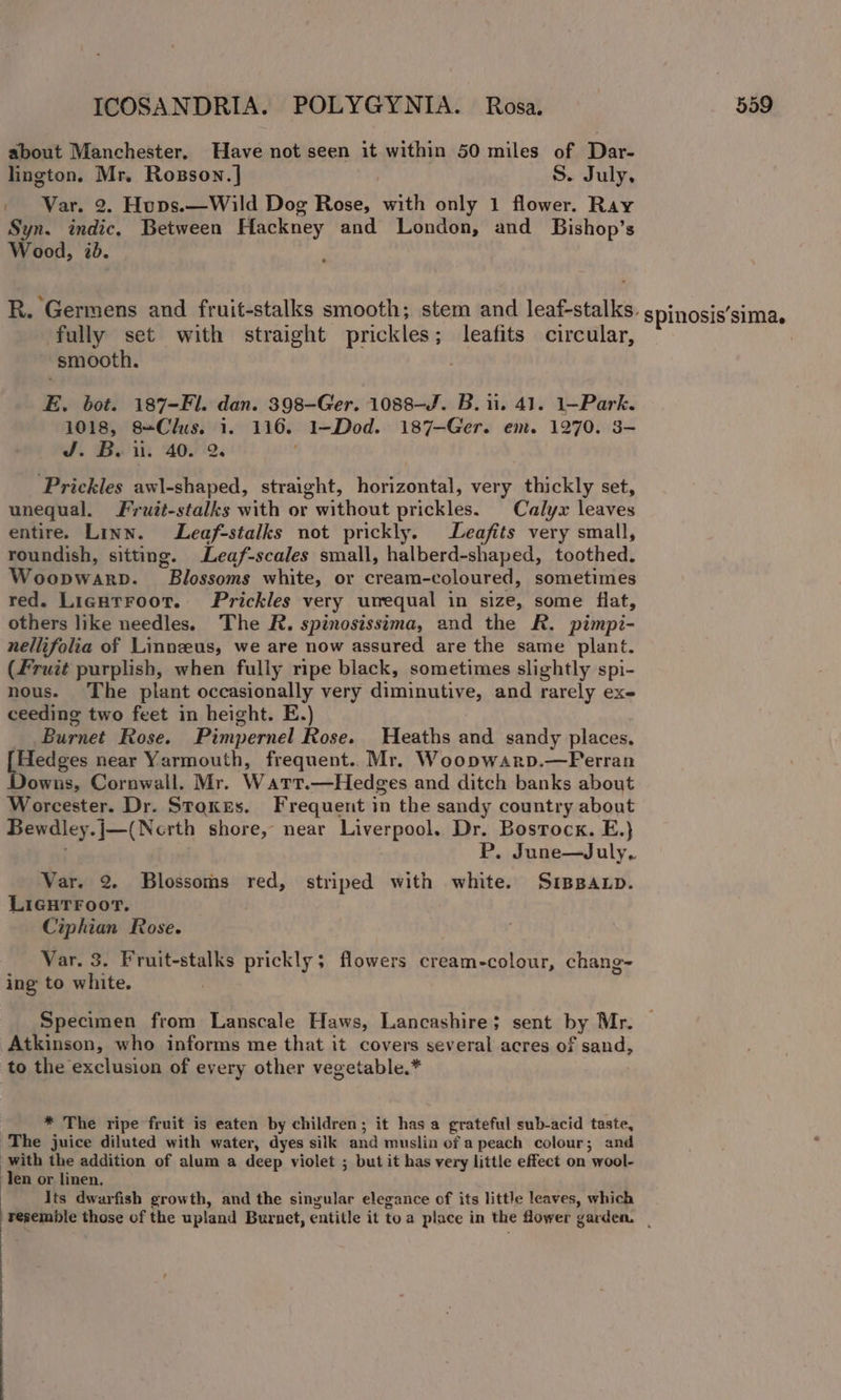 about Manchester. Have not seen it within 50 miles of Dar- lington. Mr. Rosson.] | S. July, - Var. 2. Hups.—Wild Dog Rose, with only 1 flower. Ray Syn. indic. Between Hackney and London, and Bishop’s Wood, 2b. R. Germens and fruit-stalks smooth; stem and leat-stalks. spinosis’sima. fully set with straight prickles; leafits circular, smooth. E. bot. 187-Fl. dan. 398-Ger. 1088-J. B. 11. 41. 1—Park. 1018, 8=Clus. 1. 116. 1—Dod. 187—Ger. em. 1270. 3- J: By i. 40. 2. Prickles awl-shaped, straight, horizontal, very thickly set, unequal. Fruit-stalks with or without prickles. Calyx leaves entire. Linn. Leaf-stalks not prickly. Leafits very small, roundish, sitting. Leaf-scales small, halberd-shaped, toothed. Woopwarp. Blossoms white, or cream-coloured, sometimes red. Lignrroot. Prickles very uvequal in size, some flat, others like needles. The R. spinosissima, and the R. pimpi- nellifolia of Linnzeus, we are now assured are the same plant. (Fruit purplish, when fully ripe black, sometimes slightly spi- nous. The plant occasionally very diminutive, and rarely exe ceeding two feet in height. E.) Burnet Rose. Pimpernel Rose. Heaths and sandy places, Hedges near Yarmouth, frequent. Mr. Woopwarp.—Perran owns, Cornwall. Mr. Watr.—Hedges and ditch banks about Worcester. Dr. Stakes. Frequent in the sandy country about Bewdley.j—(Nerth shore, near Liverpool. Dr. Bostock. E.} . P. June—July. Var. 2. Blossoms red, striped with white. SiBBaLp. LiGHTFoorT. Ciphian Rose. Var. 3. Fruit-stalks prickly; flowers cream-colour, chang- ing to white. | Specimen from Lanscale Haws, Lancashire; sent by Mr. Atkinson, who informs me that it covers several acres of sand, to the exclusion of every other vegetable.* * The ripe fruit is eaten by children; it has a grateful sub-acid taste, The juice diluted with water, dyes silk and muslin ef a peach colour; and with the addition of alum a deep violet ; but it has very little effect on wool- ‘Ten or linen. Its dwarfish growth, and the singular elegance of its little leaves, which resemble those of the upland Burnet, entitle it toa place in the flower garden. _