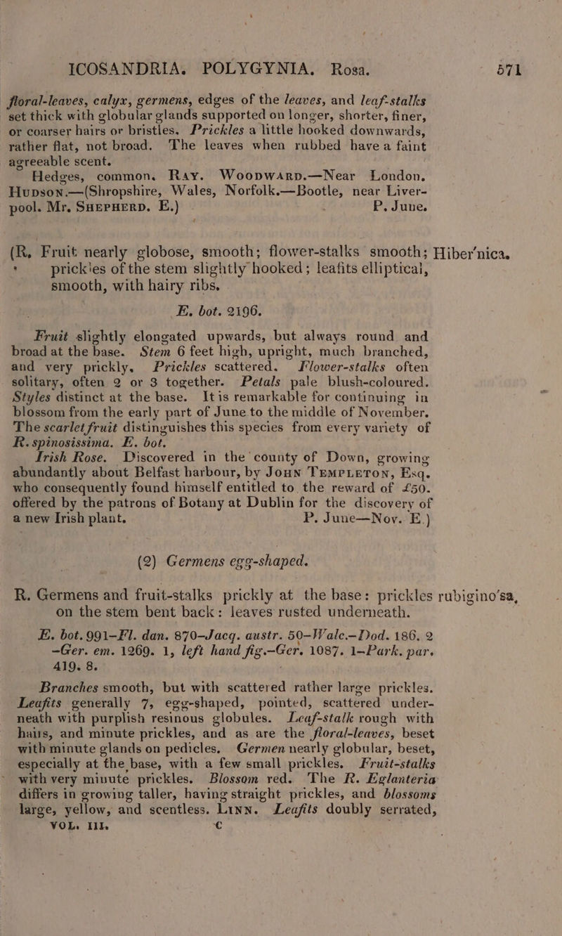 floral-leaves, calyx, germens, edges of the leaves, and leaf-stalks set thick with globular glands supported on longer, shorter, finer, or coarser hairs or bristles. Prickles a little hooked dow ynwards, rather flat, not broad. The leaves when rubbed havea faint agreeable scent. | Hedges, common. Ray. Woopnwarp.—Near London. Hupson.—(Shropshire, Wales, Norfolk.—Bootle, near Liver- pool. Mr, SHepuerp. E.) ! P, June. (R. Fruit nearly globose, smooth; flower-stalks smooth; ' prickies of the stem slightly hooked ; leafits elliptical, smooth, with hairy ribs. E, bot. 2196. Fruit slightly elongated upwards, but always round and broad at the base. Stem 6 feet high, upright, much branched, and very prickly, Prickles scattered. Flower-stalks often solitary, often 2 or 3 together. Petals pale blush-coloured. Styles distinct at the base. Itis remarkable for continuing in blossom from the early part of June to the middle of November. The scarlet fruit distinguishes this species from every variety of R. spinosissima. E. bot. frish Rose. Discovered in the county of Down, growing abundantly about Belfast harbour, by Joan TremrLeton, Esq. who consequently found himself entitled to. the reward of £50. offered by the patrons of Botany at Dublin for the discovery of a new Irish plant. P. June—Nov. E.) (2) Germens egg-shaped. R. Germens and fruit-stalks prickly at the base: prickles on the stem bent back: leaves rusted underneath. E. bot. 991-Fi. dan. 870-—Jacq. austr. 50-7 ale.—Dod. 186, 2 —Ger. em. 1269. 1, left hand fig. “Ger, 1087. 1-Park. par. 419. 8. Branches smooth, but with scattered rather large prickles. Leafits generally 7, egg-shaped, pointed, scattered ‘under- neath with purplish resinous globules. Lcaf-stalk rough with hairs, and minute prickles, and as are the flora/-leaves, beset with minute glands on pedicles. Germen nearly globular, beset, especially at the base, with a few small prickles. Fruit-stalks differs in growing taller, having straight prickles, and blossoms large, yellow, and scentless. Linn. WLeafits doubly serrated, VOL. Ill € ‘ rubigino’sa,