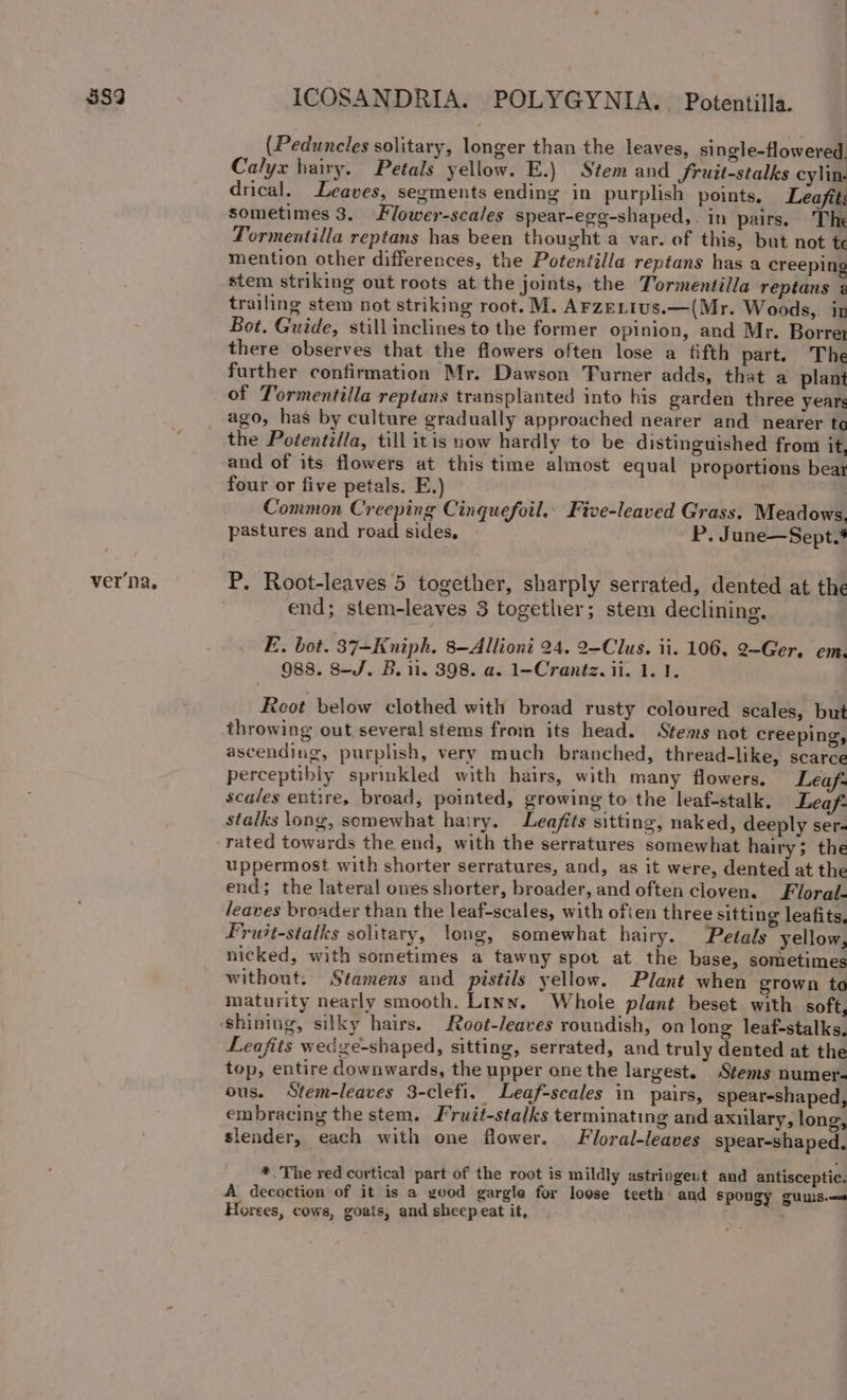 35383 ver'na, ICOSANDRIA. POLYGYNIA. Potentilla. (Peduneles solitary, longer than the leaves, single-flowered, Calyx hairy. Petals yellow. E.) Stem and fruit-stalks cylin drical. Leaves, segments ending in purplish points, Leaf sometimes 3. Flower-scales spear-ege-shaped,. in pairs. The Tormentilla reptans has been thought a var. of this, but not te mention other differences, the Potentilla reptans has a creeping stem striking out roots at the joints, the Tormentilla reptans @ trailing stem not striking root. M. AFzeLius.—(Mr. Woods, ix Bot. Guide, still inclines to the former opinion, and Mr. Borrey there observes that the flowers often lose a fifth part. The further confirmation Mr. Dawson Turner adds, that a plant of Tormentilla reptans transplanted into his garden three years ago, has by culture gradually approached nearer and nearer to the Potentilla, till itis now hardly to be distinguished from it, and of its flowers at this time almost equal proportions bear four or five petals. E.) Common Creeping Cinguefoil.. Five-leaved Grass. Meadows, pastures and road sides, P. June—Sept.4 P. Root-leaves 5 together, sharply serrated, dented at the end; stem-leaves 3 together; stem declining. E. bot. 37+Kniph. 8—Alliont 24. 2-Clus. ii. 106, 2—Ger. em. 08s. S-J/. B. 11. 398. a. 1-Crantz. ii. 1. 1. Root below clothed with broad rusty coloured scales, but throwing out several stems from its head. Stems not creeping, ascending, purplish, very much branched, thread-like, scarce perceptibly sprmkled with hairs, with many flowers. Leaf- scales entire, broad, pointed, growing to the leaf-stalk. Leaf. stalks long, somewhat hairy. Leafits sitting, naked, deeply ser- rated towards the end, with the serratures somewhat hairy; the uppermost with shorter serratures, and, as it were, dented at the end; the lateral ones shorter, broader, and often cloven. Floral- leaves broader than the leaf-scales, with often three sitting leafits, Fruit-stalks solitary, long, somewhat hairy. Petals yellow, nicked, with sometimes a tawny spot at the base, sometimes without. Stamens and pistils yellow. Plant when grown to maturity nearly smooth. Linn. Whole plant beset with soft, Leafits wedge-shaped, sitting, serrated, and truly dented at the top, entire downwards, the upper ane the largest. Stems numer- ous. &lt;Stem-leaves 3-clefi. Leaf-scales in pairs, spear-shaped, embracing the stem. Fruit-sta/ks terminating and axiilary, long, slender, each with one flower. Floral-leaves spear-shaped. *. The red cortical part of the root is mildly astringent and antisceptic. A decoction of it is a yood gargle for loose teeth and spongy guuis.— Horees, cows, goats, and sheep eat it, .