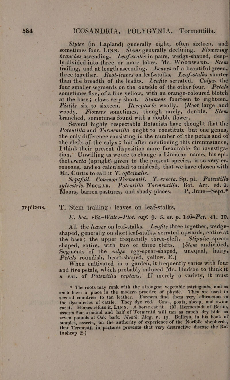 rep‘tans, : _ Styles (in Lapland) generally eight, often sixteen, and sometimes four. Linn. Stems generally declining. Sh branches ascending. Leaf-scales in pairs, wedge-shaped, deep- ly divided into three or more Jobes. Mr. Woopwarp. Stem trailing, and at length ascending. eaves of a beautiful green, three together. Root-leaves'on leaf-stalks. Leaf-stalks shorter than the breadth of the leafits. Leafits serrated. Calyx, the four smaller segments on the outside of the other four. Petalt sometimes five, of a fine yellow, with an orange-coloured blotch at the base; claws very short. Stamens fourteen to eighteen. Pistils six to sixteen. Receptacle woolly. (Root large and woody. Flowers sometimes, though rarely, double. Stem branched, sometimes found with a double flower. Several highly respectable Botanists have thought that the Potentilla and Tormentilla ought to constitute but one genus, the only difference consisting in the number of the petals and of the clefts of the calyx; but after mentioning this circumstance, I think their present disposition more favourable for investiga- tion.” Unwilling as we are to change.a Linnean name, his epi-: thet erecta (upright) given to the present species, is so very er- roneous, and so calculated to mislead, that we have chosen with Mr. Curtis to call it 7. officinalis. . Septfoil. Common Tormentil. T. erecta. Sp. pl. Potentilla sylvestris. NeckAR. Potentilla. Tormentilla, Bot. Arr. ed. 2. Moors, barren pastures, and shady places: P, June—Sept.* T. Stem trailing: leaves on leaf-stalks. E. bot. 864-Walc.—Plot. oxf. 9. 5. at. p. 146=Pet. 41. 10. All the /eaves on leaf-stalks. Leafits three together, wedge- shaped, generally on short leaf-stalks, serrated upwards, entire at the base; the upper frequently three-cleft. Stipule spear- shaped, entire, with two or three clefts, (Stem undivided, Segments of the calyx egg-spear-shaped, unequal, hairy. Petals roundish, heart-shaped, yellow. FE.) When cultivated in a garden, it frequently varies with four and five petals, which probably induced Mr. Hudson to think it a var. of Potentilla reptans. If merely a variety, it must * The roots may rank with the strongest vegetable astringents, and as such have a place in the moderna practice of physic. They are used in several countries to tan leather. Farmers find them very efficacious in the dysenteries of catile. They dye red. Cows, goats, sheep, and swine eatit. Horses refuse it. LINN. A horse eat it (M. Hermestadt of Berlin, asserts that a pound and half of Tormentil will tan as much dry hide as’ seven pounds of Oak bark. Month. Mag. v. 19. Bulleyn, in his book of simples, asserts, on the authority of experience of the Norfolk shepherds, that Termentil in pastures prevents that very destructive disease the Rot in sheep. E.)