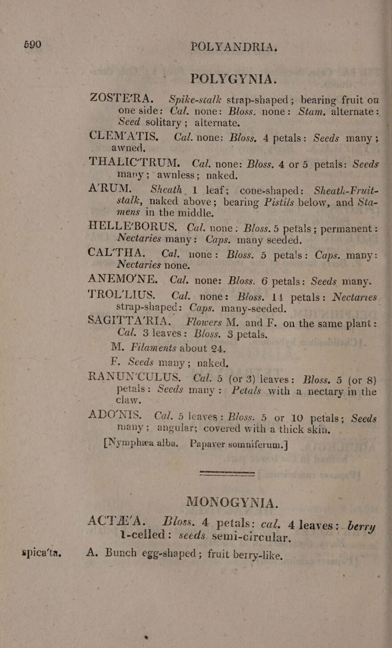 spica‘ta. POLYGYNIA. ZOSTE'RA. — Spike-scalk strap-shaped; bearing fruit on — one side: Cal. none: Bloss. none: Stam. alternate : Seed solitary ; alternate. . CLEMATIS. Cal. none: Bloss. 4 petals: Seeds many; — awned, THALICTRUM. Cal. none: Bloss. 4 or 5 petals: Seeds — many; awnless; naked. A’RUM. — Sheath. 1 leaf; cone-shaped: Sheatl-Fruit- stalk, naked above; bearing Pistils below, and Sta- mens in the middle. HELLE’BORUS, Cul. none: Bloss. 5 petals ; permanent : Nectaries many: Caps. many seeded. CAL’THA. Cal. none: Bloss. 5 peta!s: Caps. many: — Nectaries none. ; ANEMO'NE. Cal. none: Bloss. 6 petals: Seeds many. TROL'LIUS. Cal. none: Bloss. 14 petals: Nectarves strap-shaped: Caps. many-seeded. : SAGITTA’RIA. Flowers M. and F. on the same plant : Cal. 3 leaves: Bloss. 3 petals. | M. Filaments about 24. F, Seeds many; naked, RANUN’CULUS. Cal. 5 (or 3) leaves: Bloss. 5 (or 8) petals: Seeds many: Petals with a nectary in the claw. ADO'NIS. Cal. 5 leaves: Bloss. 5 or 10 petals; Seeds many; angular; covered with a thick skin. . [Nympheea alba. Papaver somniferum.] MONOGYNIA. ; ACTAVA. Bloss. 4 petals: cal, 4 leayes:. berry 1-celled: seeds semi-circular. A. Bunch egg-shaped ; fruit berry-like,