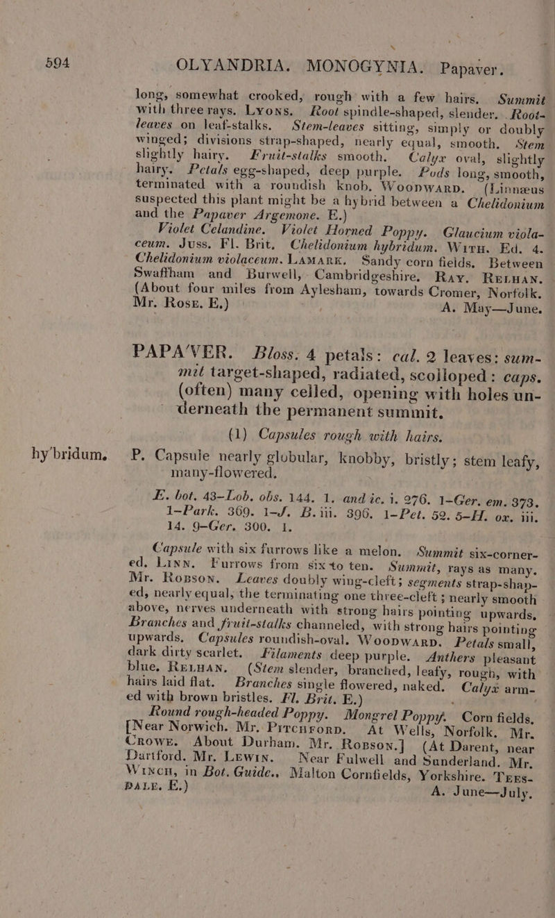 hy bridum. OLYANDRIA. MONOGYNIA. Papaver. long, somewhat crooked, rough with a few hairs. Summit with threerays. Lyons. Root spindle-shaped, slender. _Root- leaves on leaf-stalks. Stem-leaves sitting, simply or doubly winged; divisions strap-shaped, nearly equal, smooth. Stem- shghtly hairy. #rwit-stalks smooth. Calyx oval, slightly hairy. Petals egg-shaped, deep purple. Pods long, smooth, terminated with a roundish knob. Woonwarp. (LLinneeus suspected this plant might be a hybrid between a Chelidonium and the Papaver Argemone. E.) Violet Celandine. Violet Horned Poppy. Glaucium viola- ceum. Juss. Fl. Brit. Chelidonium hybridum. Wirth. Ed. 4. Chelidonium violaceum. LAMARK. Sandy corn fields. Between Swaffham and Burwell, Cambridgeshire. Ray, RELHAN. (About four miles from Aylesham, towards Cromer, Nortolk. Mr. Rost. E,) die? A. May—June. PAPA'VER. Bloss. 4 petals: cal. 2 leaves: sum- mit target-shaped, radiated, scolloped: caps. (often) many celled, opening with holes un- derneath the permanent summit. (1) Capsules rough with hairs. P. Capsule nearly globular, knobby, bristly ; stem leafy, many-flowered. £. bot, 43—Lob. obs. 144. 1. and ic. i. 276. 1-Ger. em. 373. 1-Park. 369. 1-/. B.iii. 396. 1-Pet. 59. 5-H. ox. iil. 14, 9-Ger. 300. 1. Capsule with six furrows like a melon. Stunmit s1X-corner- ed. Linn. Furrows from six to ten. Summit, rays as many, Mr. Rosson. Leaves doubly wing-cleft; segments strap-shay- ed, nearly equal, the terminating one three-cleft ; nearly smooth above, nerves underneath with strong hairs pointing upwards, Branches and fruii-sialks channeled, with strong hairs pointing upwards, Capsules roundish-oval. Woopwarp. Petals small, dark dirty scarlet. Filaments deep purple. Anthers pleasant blue. Re.Han, (Stem slender, branched, leafy, rough, with hairs laid flat. Branches single flowered, naked, Calyx arm- ed with brown bristles. Fl. Brit. E.) : Round rough-headed Poppy. Mongrel Poppy. Corn fields. [Near Norwich. Mr. Prrcugorp. At Wells, Norfolk. Mr. Crowe. About Durham. Mr. Rogson.] (At Darent, near Dartford. Mr. Lewin. Near Fulwell and Sunderland. Mr. Wine, in Bot. Guide.. Malton Corntfields, Yorkshire. Tres. PALE. E.) A. June—July,
