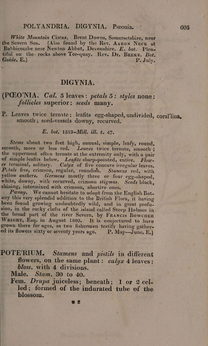 White Mountain Cistus, Brent Downs, Somersetshire, near the Severn Sea. (Also found by the Rev. Aaron Neck at — Babbicombe near Newton Abbot, Devonshire. E. bot. Plen- tiful on the. rocks above Tor-quay. Rev. Dr. Besxe. Bot. Guide. E.) P. July. ~ DIGYNIA. (PQEO'NIA. Cal. 5 leaves: petals 5: styles none: follicles superior: seeds many. P. Leaves twice ternate; leafits egg-shaped, undivided, coral’lina, smooth ; seed-vessels downy, recurved. £, bot. 1513-Mill. ill. t. 47. Stems about two feet high, annual, simple, leafy, round, smooth, more or less red. Leaves twice. ternate, smooth ; the uppermost often ternate at the extremity only, with a pair of simple leafits below. Leafits sharp-pointed, entire. Flow- er terminal, solitary. Calyx of five concave irregular leaves, Prtals five, crimson, regular, roundish. Stamens red, with yellow anthers. Germens mostly three or four egg-shaped, white, downy, with recurved, crimson stigmas. Seeds black, shining, intermixed with crimson, abortive ones. Peony. We cannot hesitate to adopt from the English Bot- any this very splendid addition to the British Flora, it having been found growing undoubtedly wild, and in great profu- sion, in the rocky clefts of the island called Steep Holmes in the broad part of the river Severn, by Francis Bowcnrer Wrigut, Esq. in August 1803. It is conjectured to have grown there for ages, as two fishermen testify having gather- ed its flowers sixty or seventy years ago. P. May—June. E.) POTERIUM. Stamens and pisiils in different flowers, on the same plant: calyx 4 leaves: bloss. with 4 divisions. Male. Stam. 30 to 40. Fem. Drupa juiceless; beneath; 1 or 2 cel- led; formed of the indurated tube of the | blossom, e2
